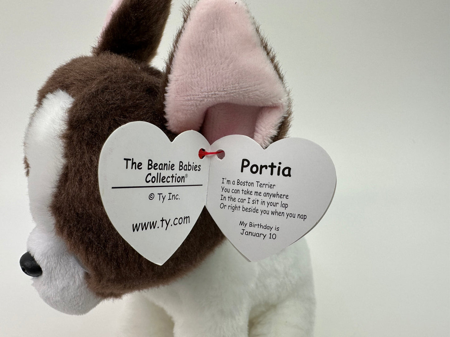 Ty Beanie Baby “Portia” the Boston Terrier Dog (6 inch)