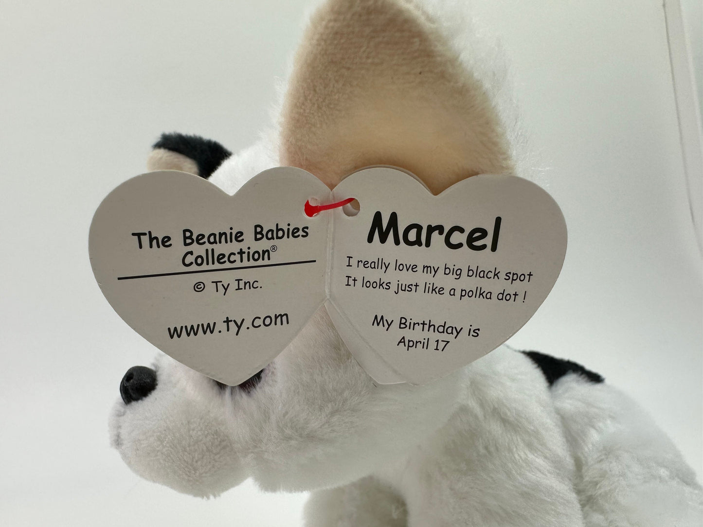 Ty Beanie Baby “Marcel” the French Bulldog Dog (6 inch) Vintage 1990s 2000s Beanies