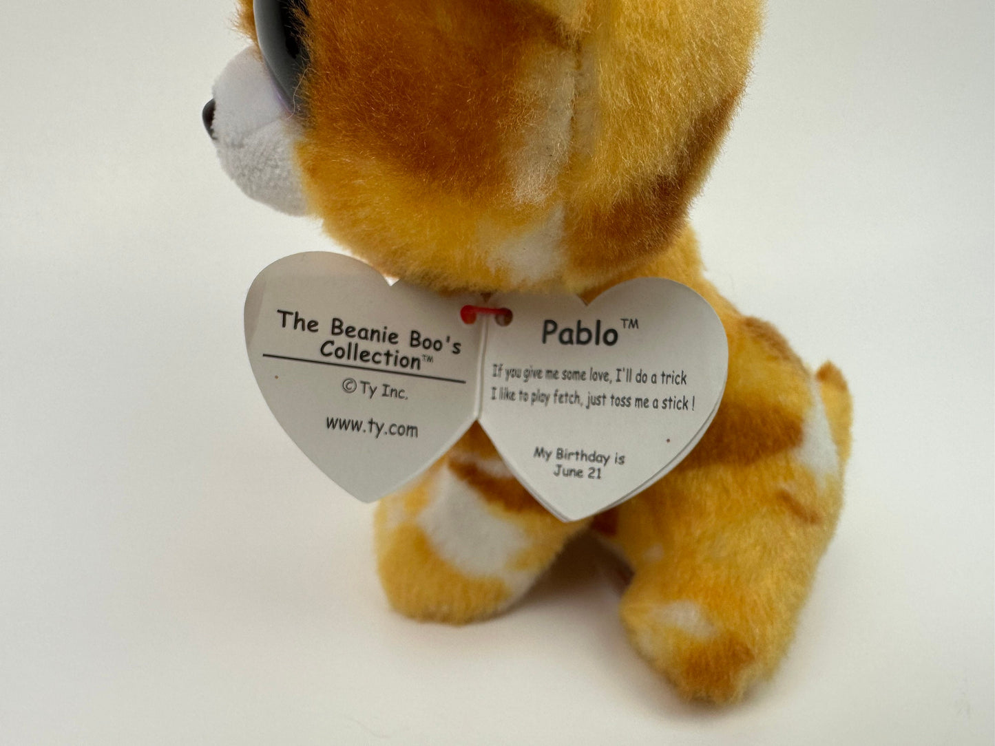 Ty Beanie Boo “Pablo” the Chihuahua Dog (6 inch)