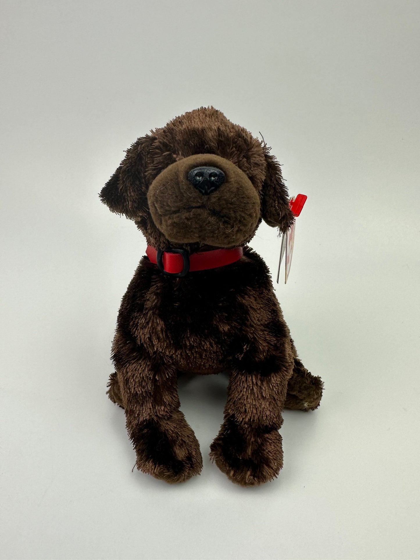 Ty Beanie Baby “Muddy” the Brown Lab Dog! (7 inch)