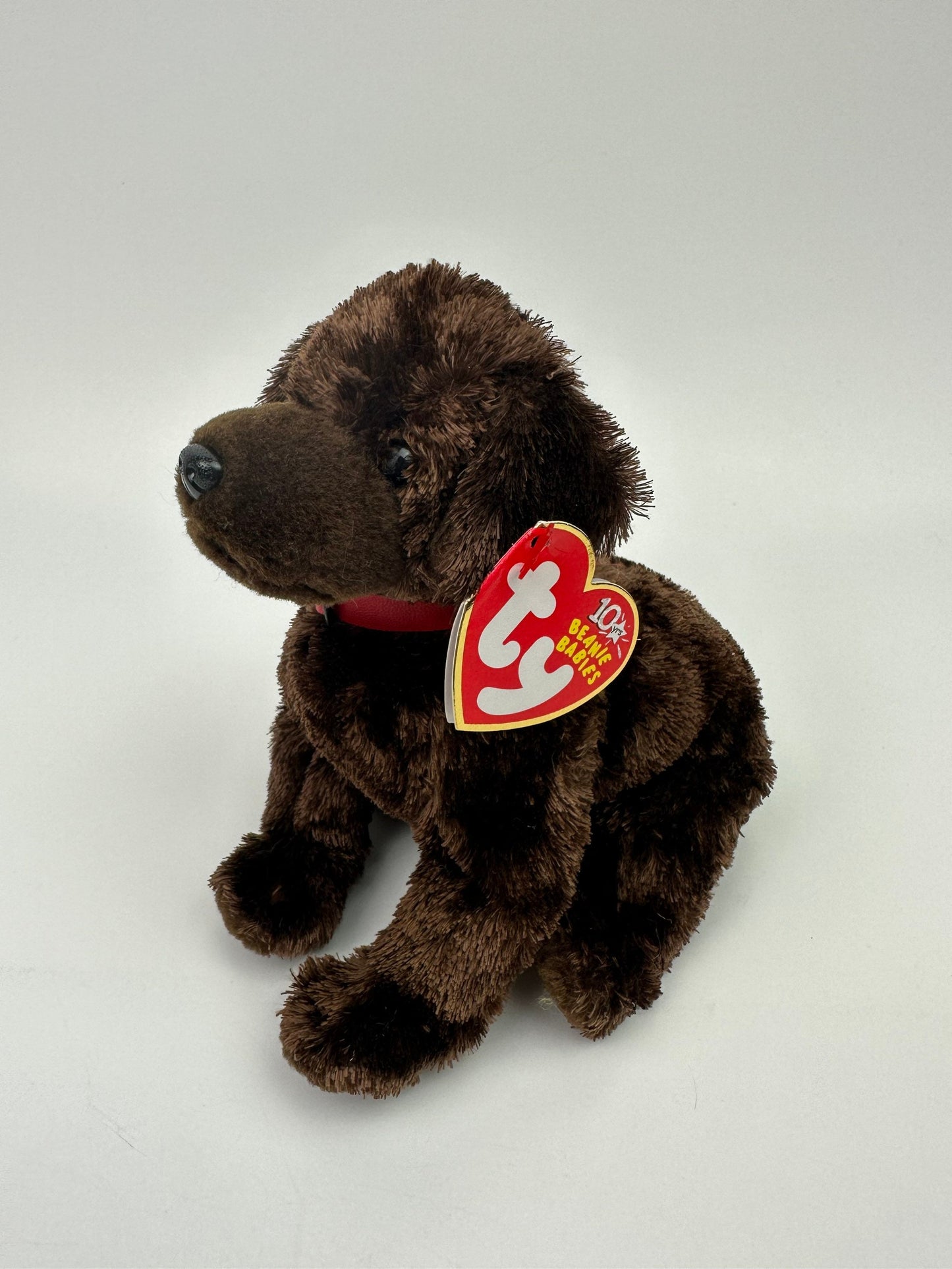 Ty Beanie Baby “Muddy” the Brown Lab Dog! (7 inch)