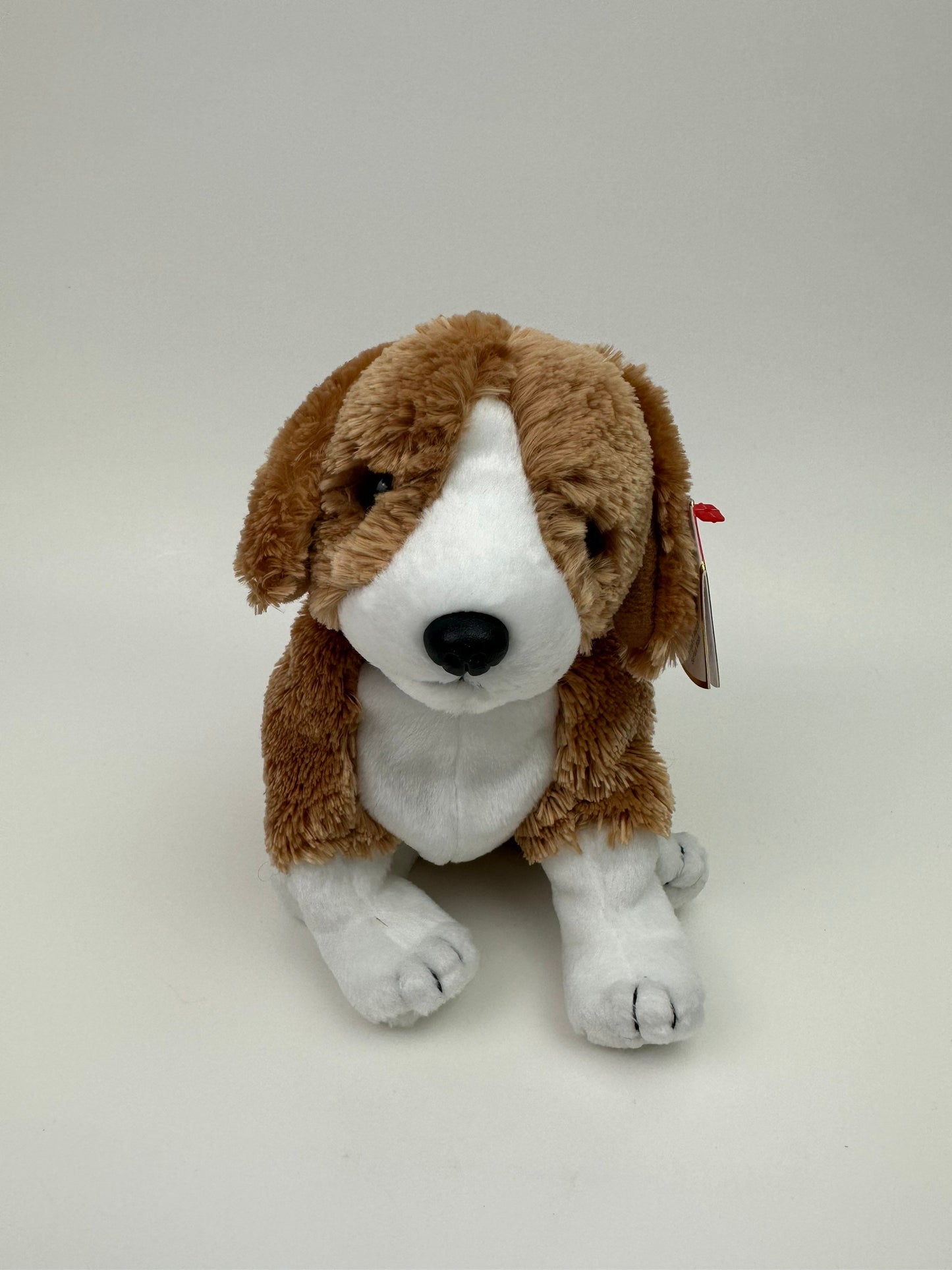 Ty Beanie Baby “Side-Kick” the Dog ! (5.5 inch)