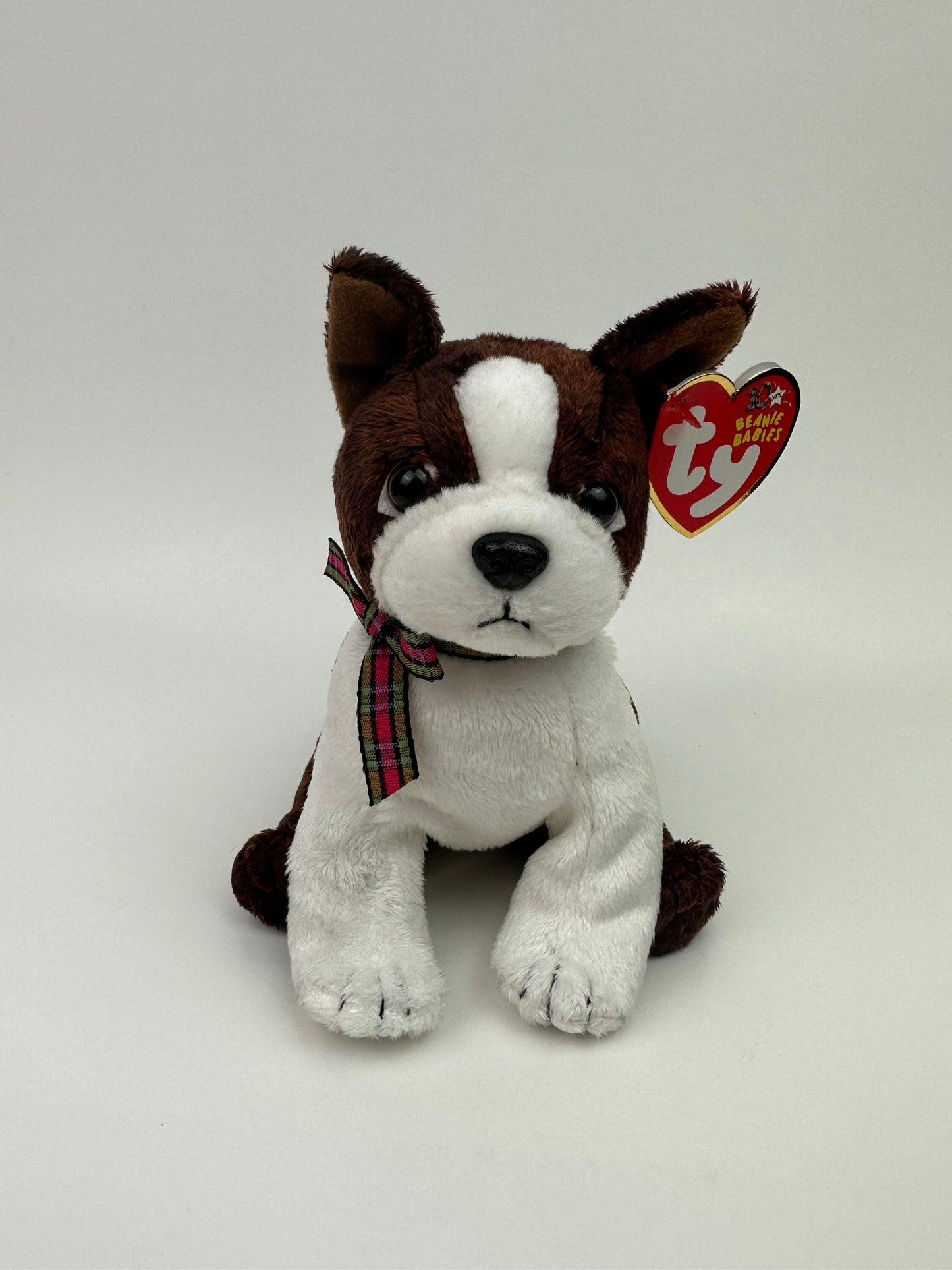 Ty Beanie Baby “Sport” the Dog! (6 inch)