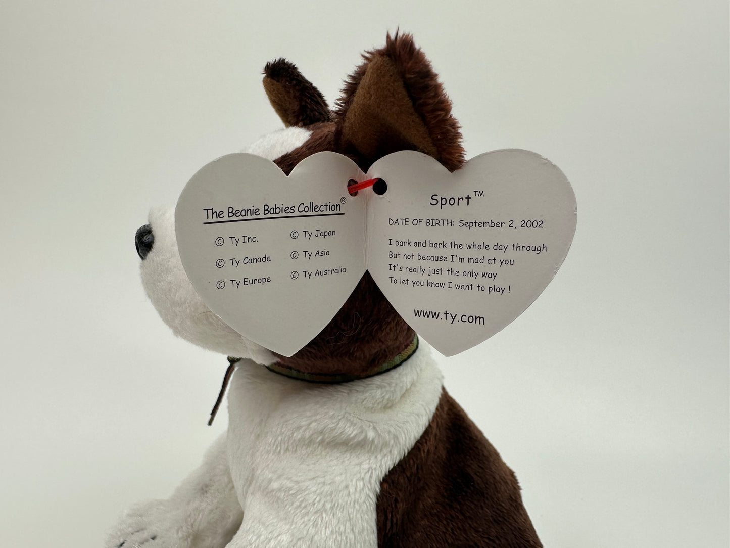 Ty Beanie Baby “Sport” the Dog! (6 inch)