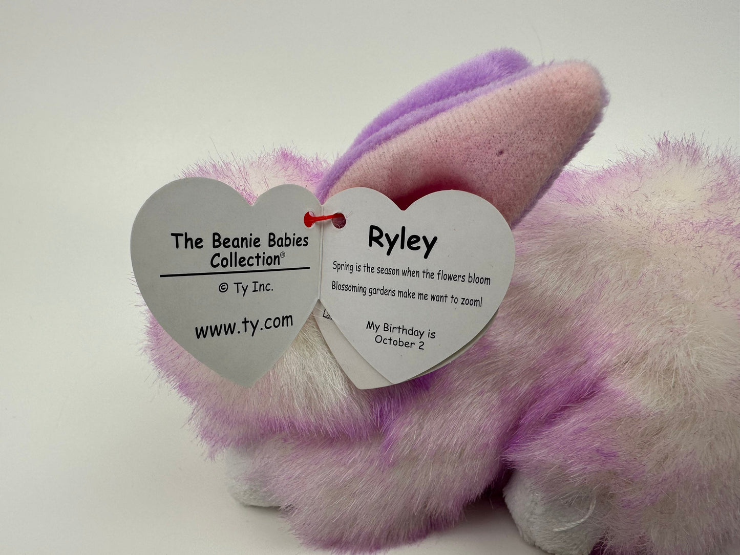 Ty Beanie Baby “Ryley” the Purple Bunny Rabbit  (6 inch)