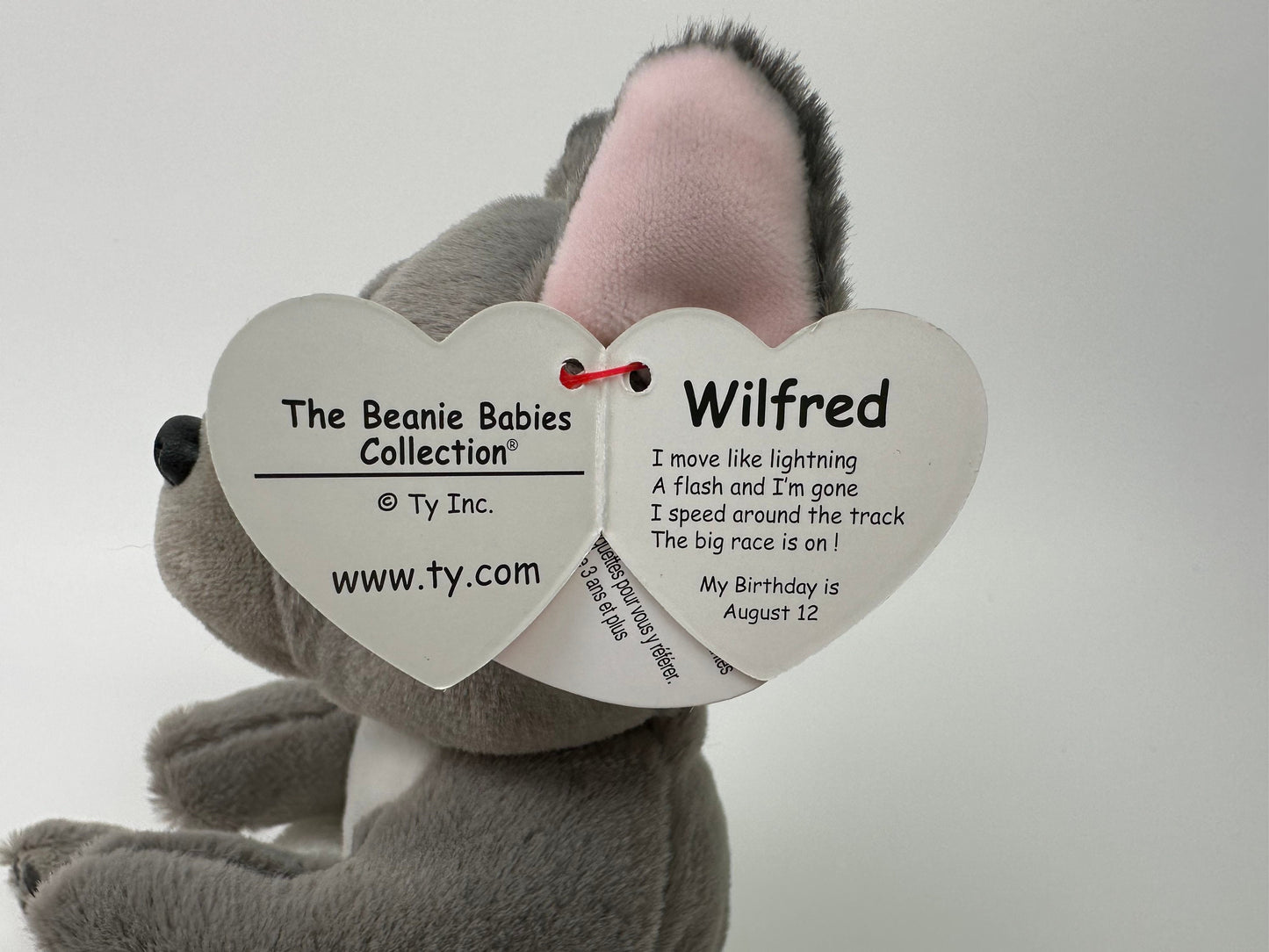 Ty Beanie Bellies “Wilfred” the French Bulldog Plush! (8 inch)