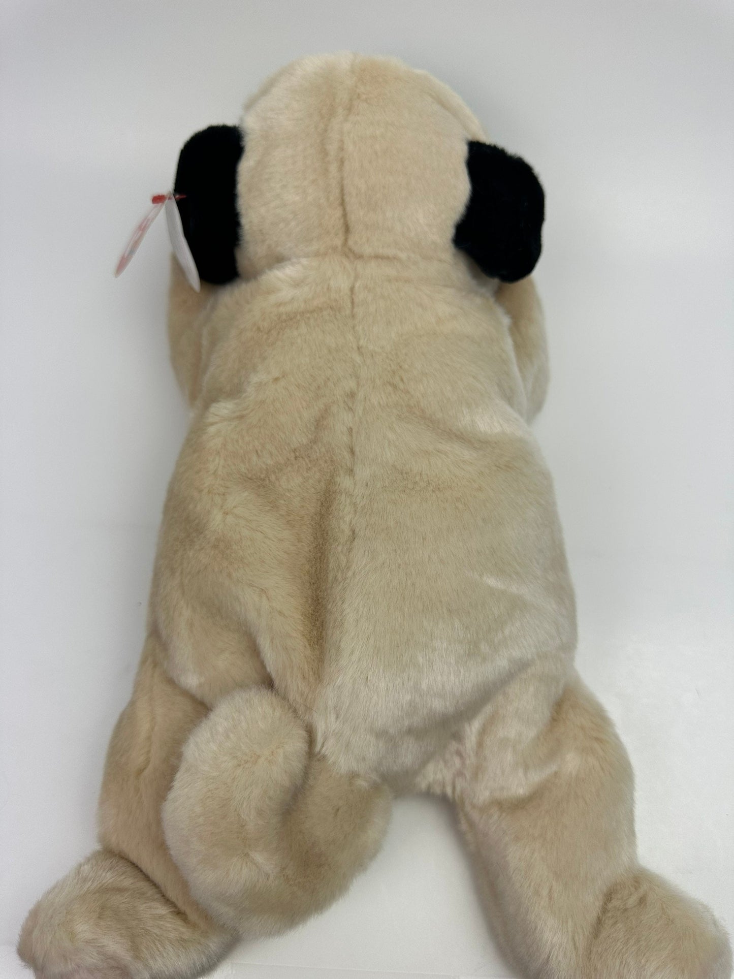 Ty Beanie Buddy “Pugsly” the Adorable Pug Plush (13 inch)