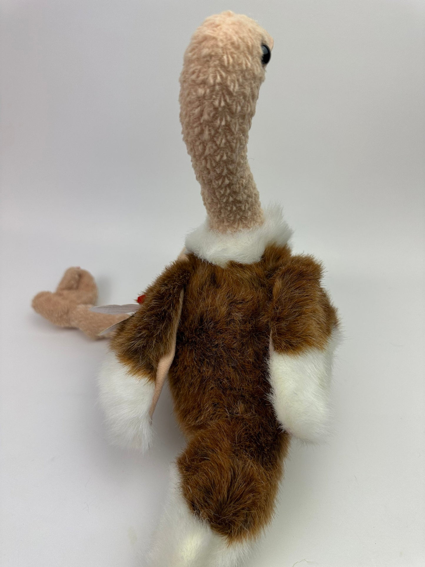 Ty Beanie Buddy “Stretch” the Ostrich! (11 inch)