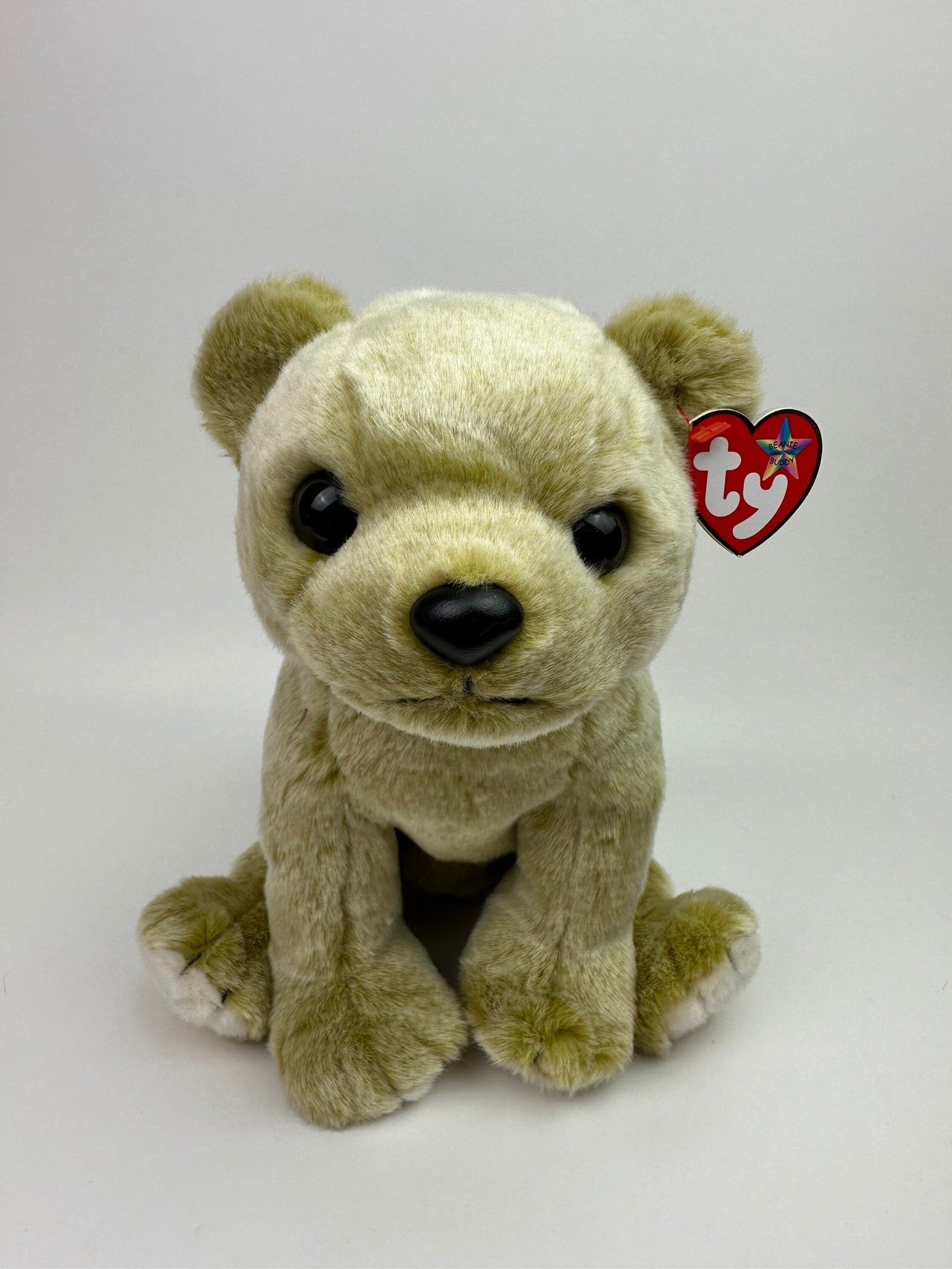 Ty Beanie Buddy “Almond” the Bear (10 inch)