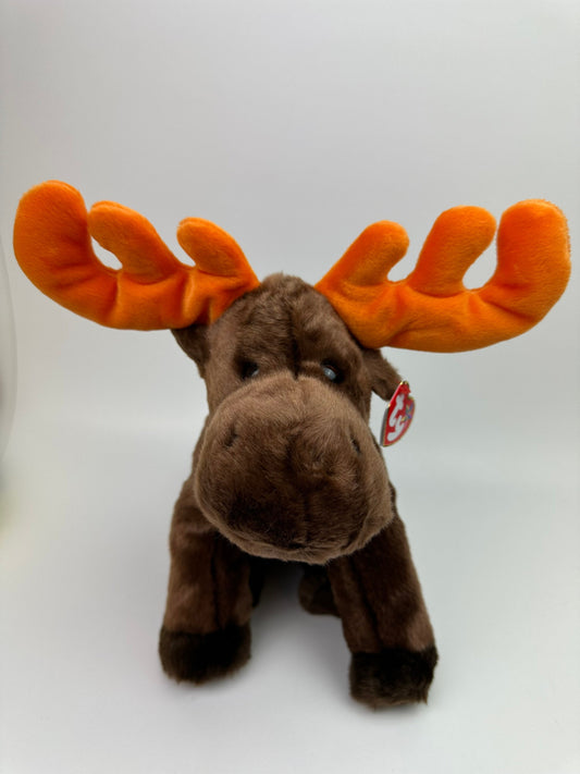 Ty Beanie Buddy “Chocolate” the Moose (10 inch)