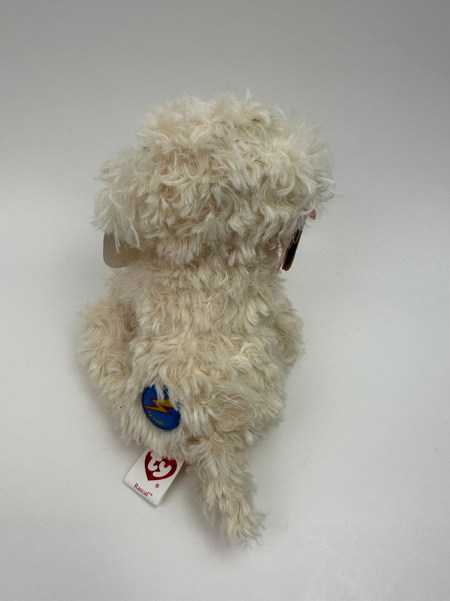 Ty Beanie Baby “Rascal” the Bichon Frise Dog**RARE** (6 inch)