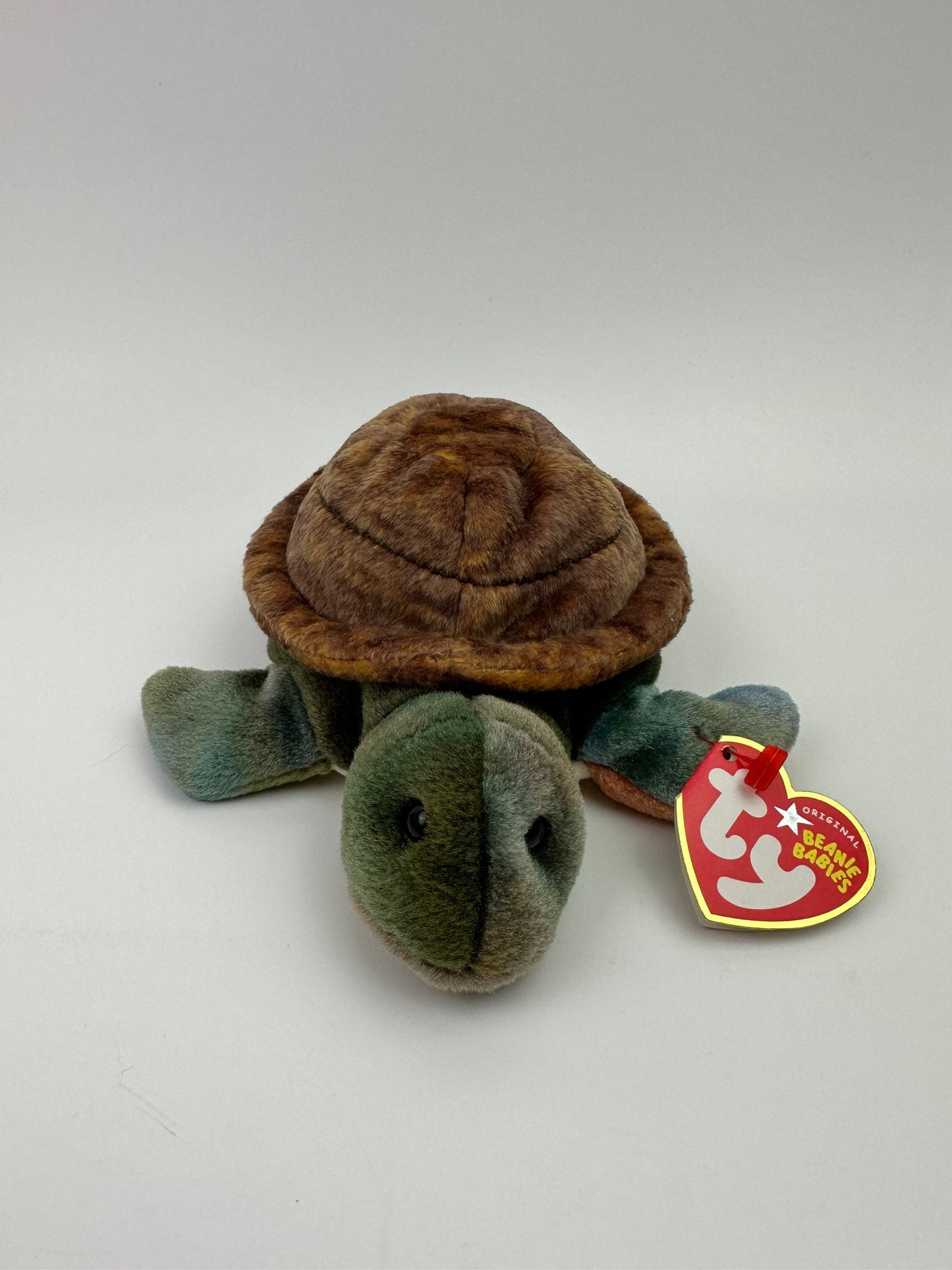 Ty Beanie Baby “Speedster” the Turtle! (5 inch)