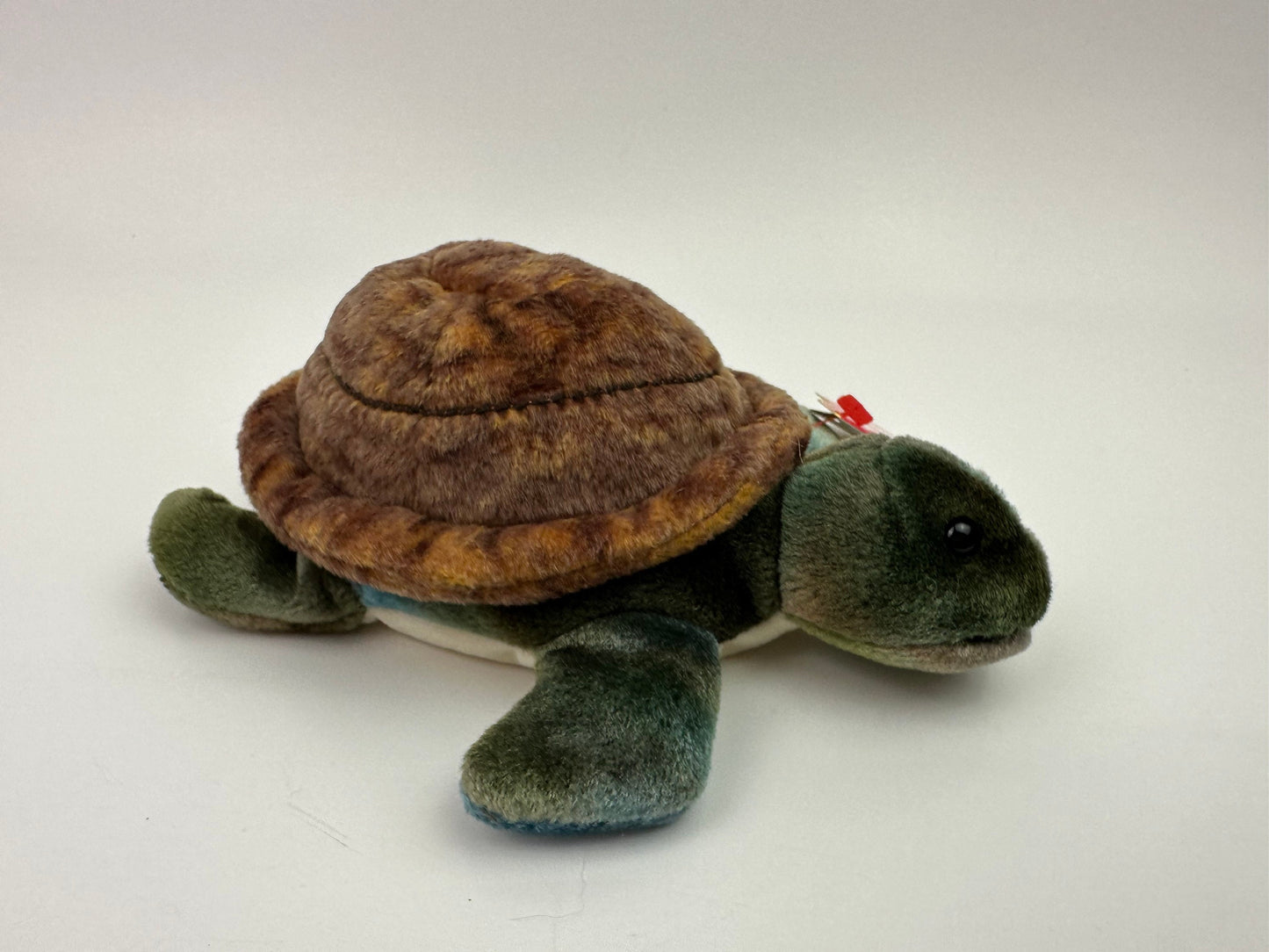 Ty Beanie Baby “Speedster” the Turtle! (5 inch)