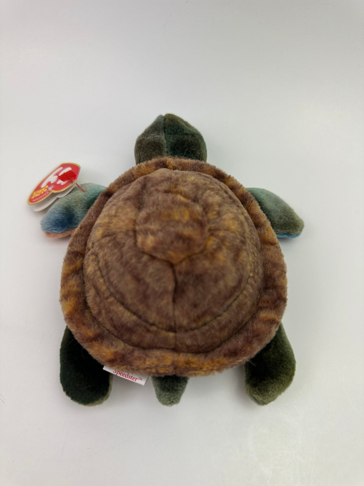 Ty Beanie Baby “Speedster” the Turtle! (5 inch)