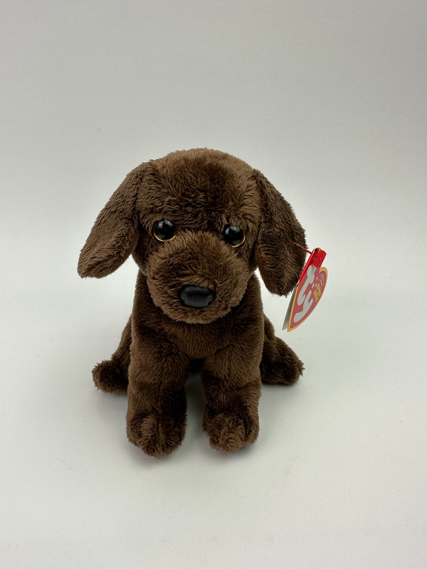 Ty Beanie Baby “Cocoa” the Brown Dog - Rare! (6 inch)