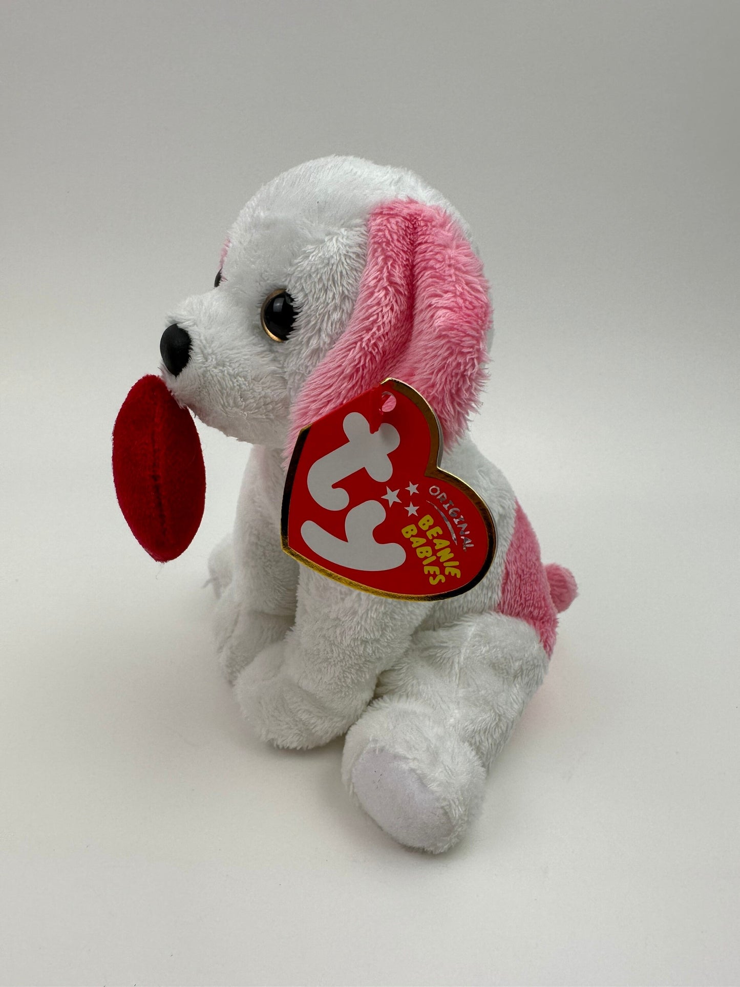 Ty Beanie Baby “Amore” the White and Pink Valentines Day Love Dog Holding a Red Heart! (6 inch)