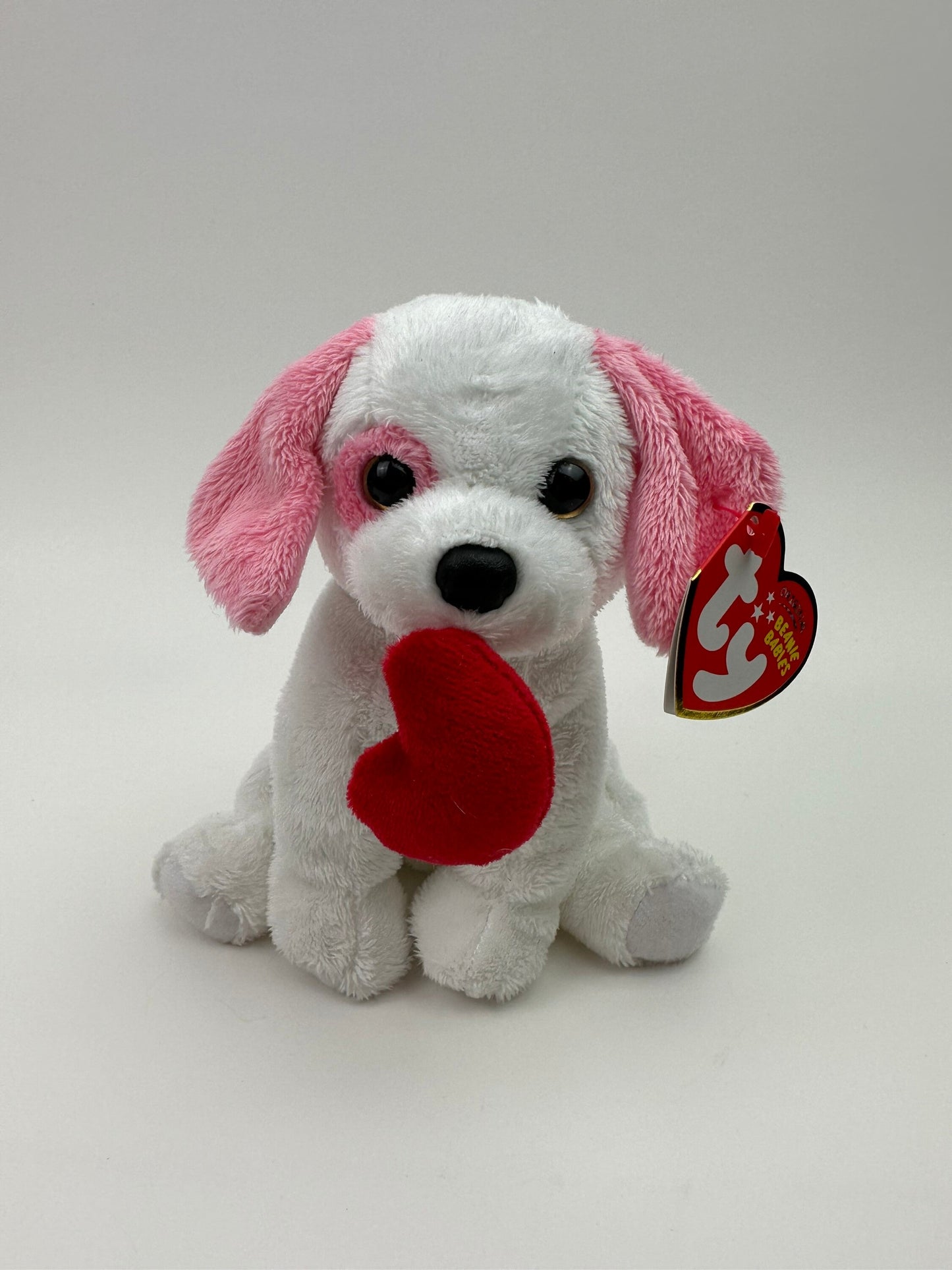 Ty Beanie Baby “Amore” the White and Pink Valentines Day Love Dog Holding a Red Heart! (6 inch)