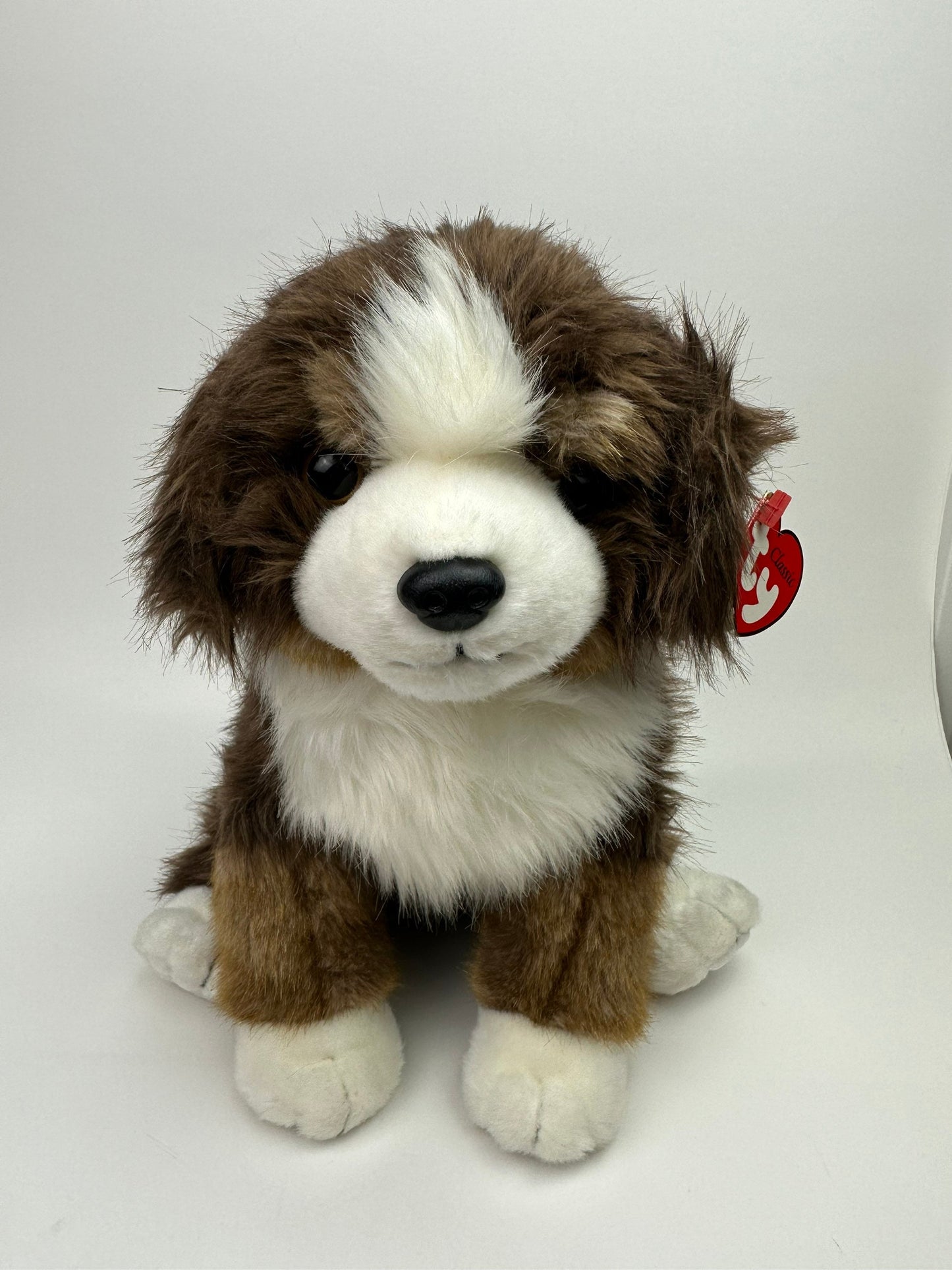 Ty Classics Collection “Mugsy” the Bernese Mountain Dog  (12 inch)