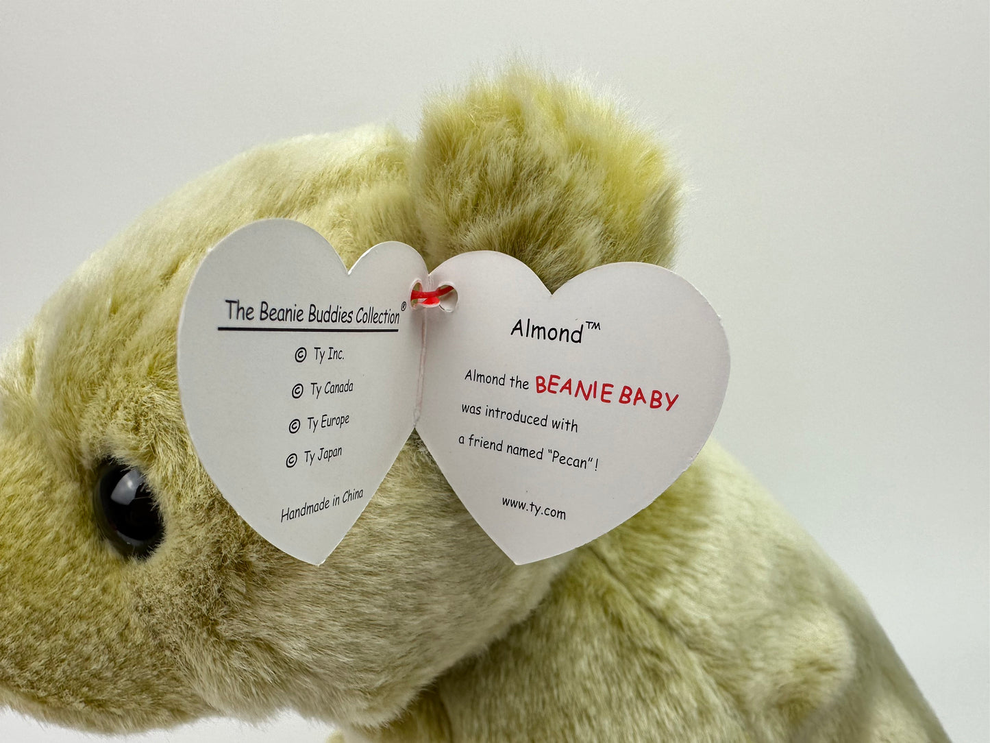 Ty Beanie Buddy “Almond” the Bear (10 inch)