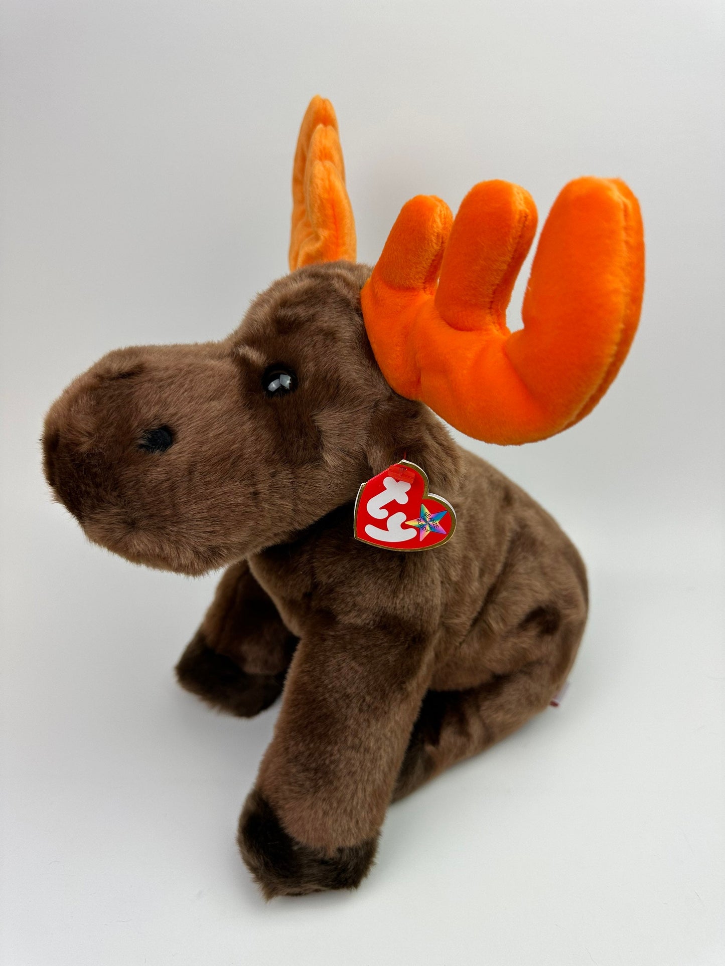 Ty Beanie Buddy “Chocolate” the Moose (10 inch)