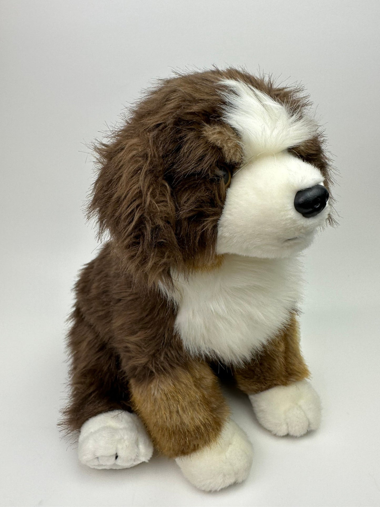 Ty Classics Collection “Mugsy” the Bernese Mountain Dog  (12 inch)