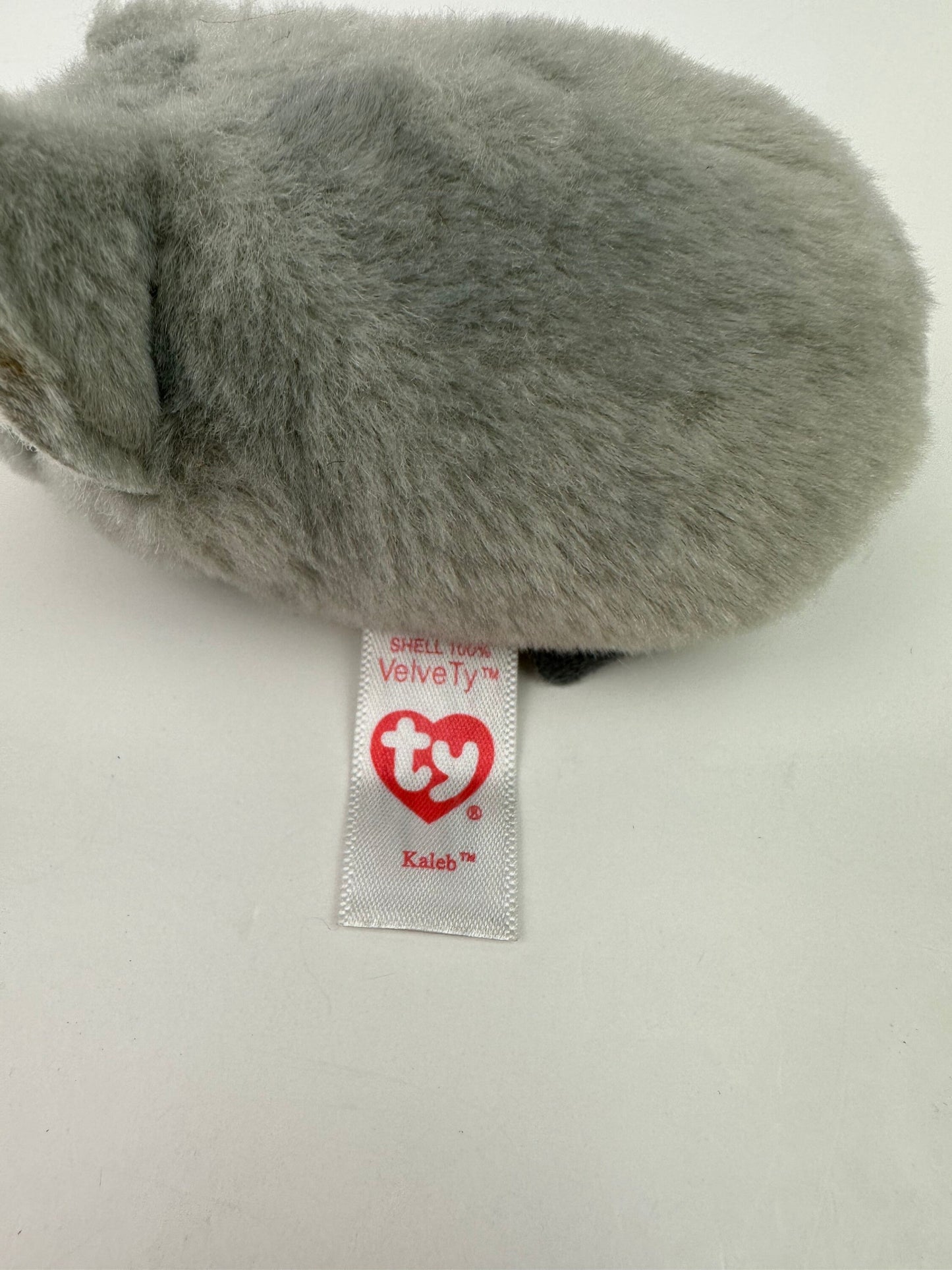 Ty Stackables Teeny Tys “Kaleb” the Koala - No Hang Tag (4 inch)