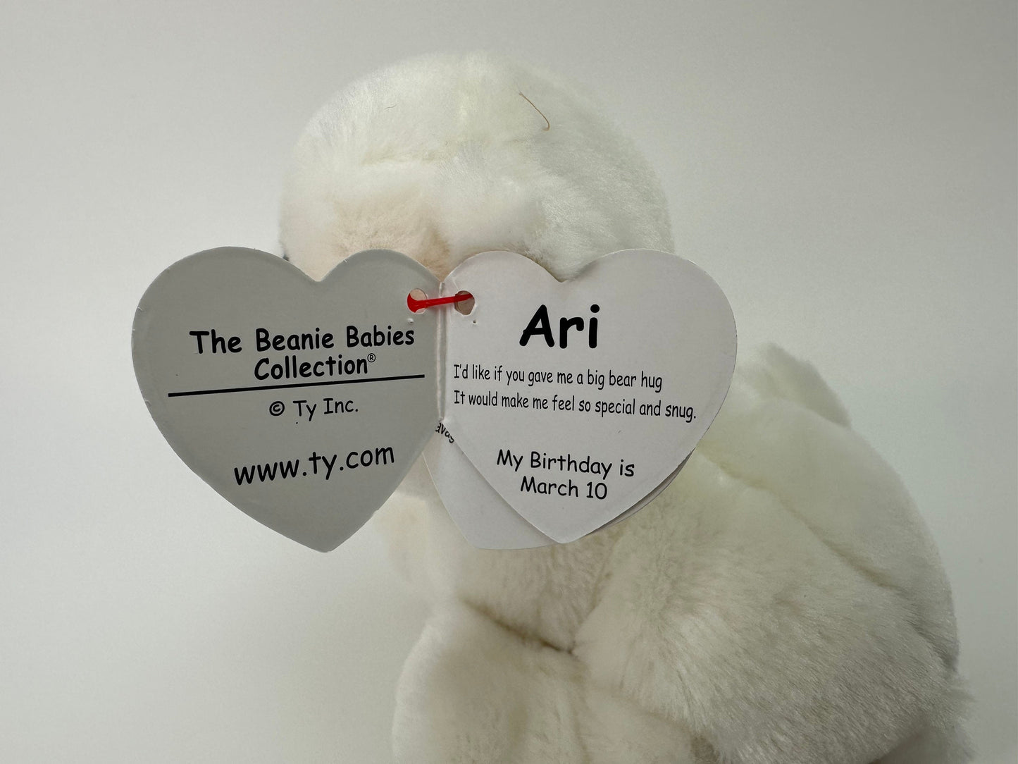 Ty Beanie Baby “Ari” the Polar Bear Plush! (6 inch)