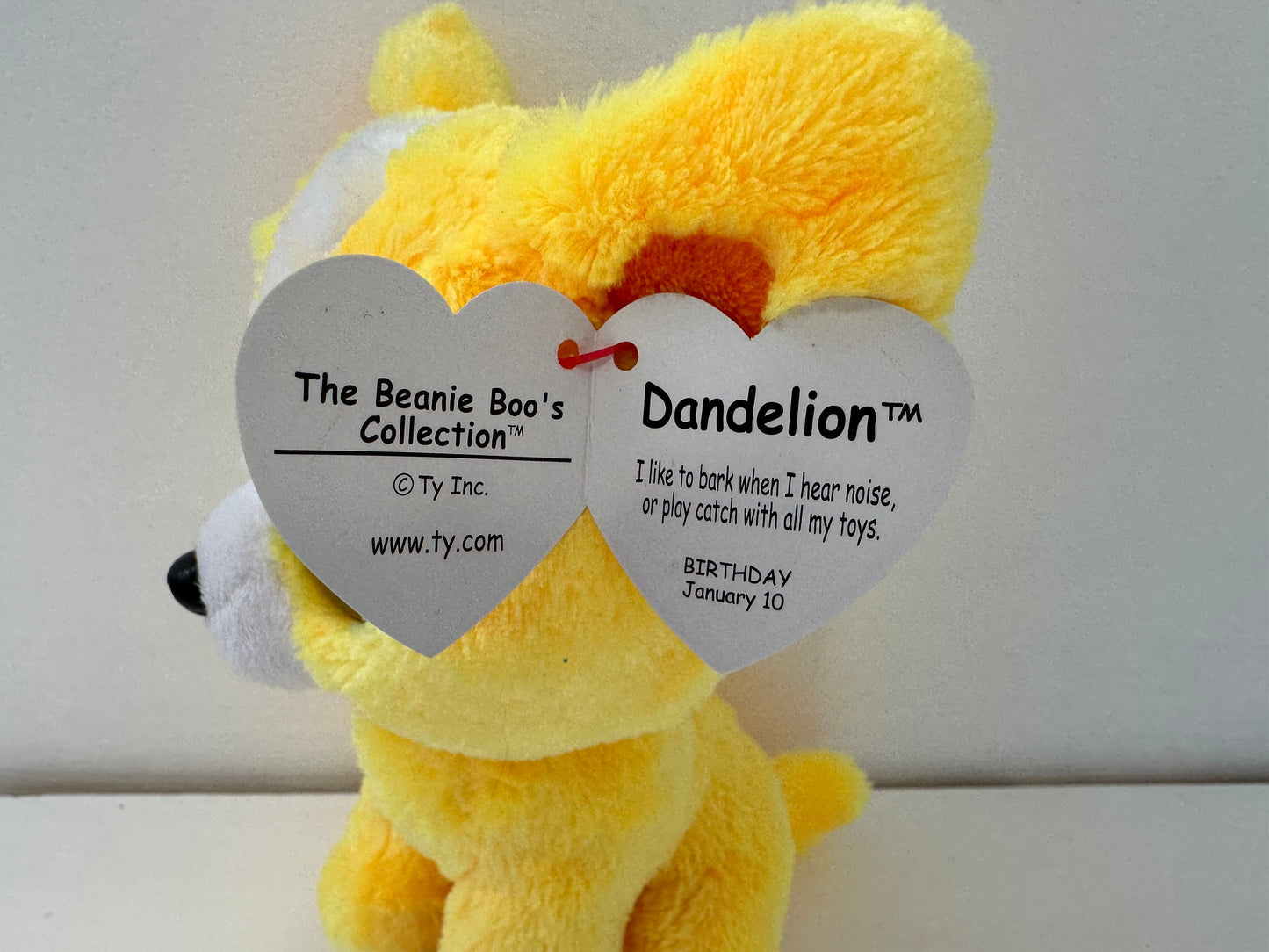 Ty Beanie Boo “Dandelion” the Yellow Chihuahua - Gift Show Exclusive *Rare* (6 inch)