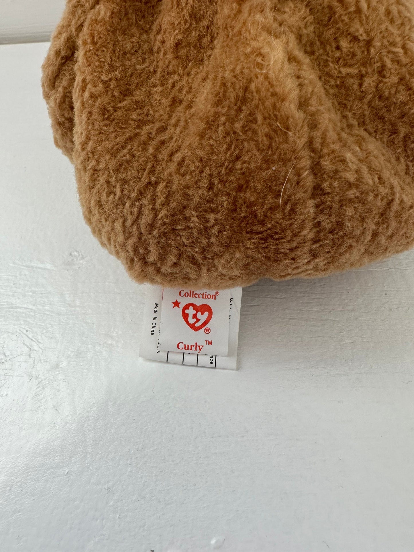 Ty Beanie Baby “Curly” the Bear - Limited Edition Ragtime Musical Version *Rare! (8.5 inch)