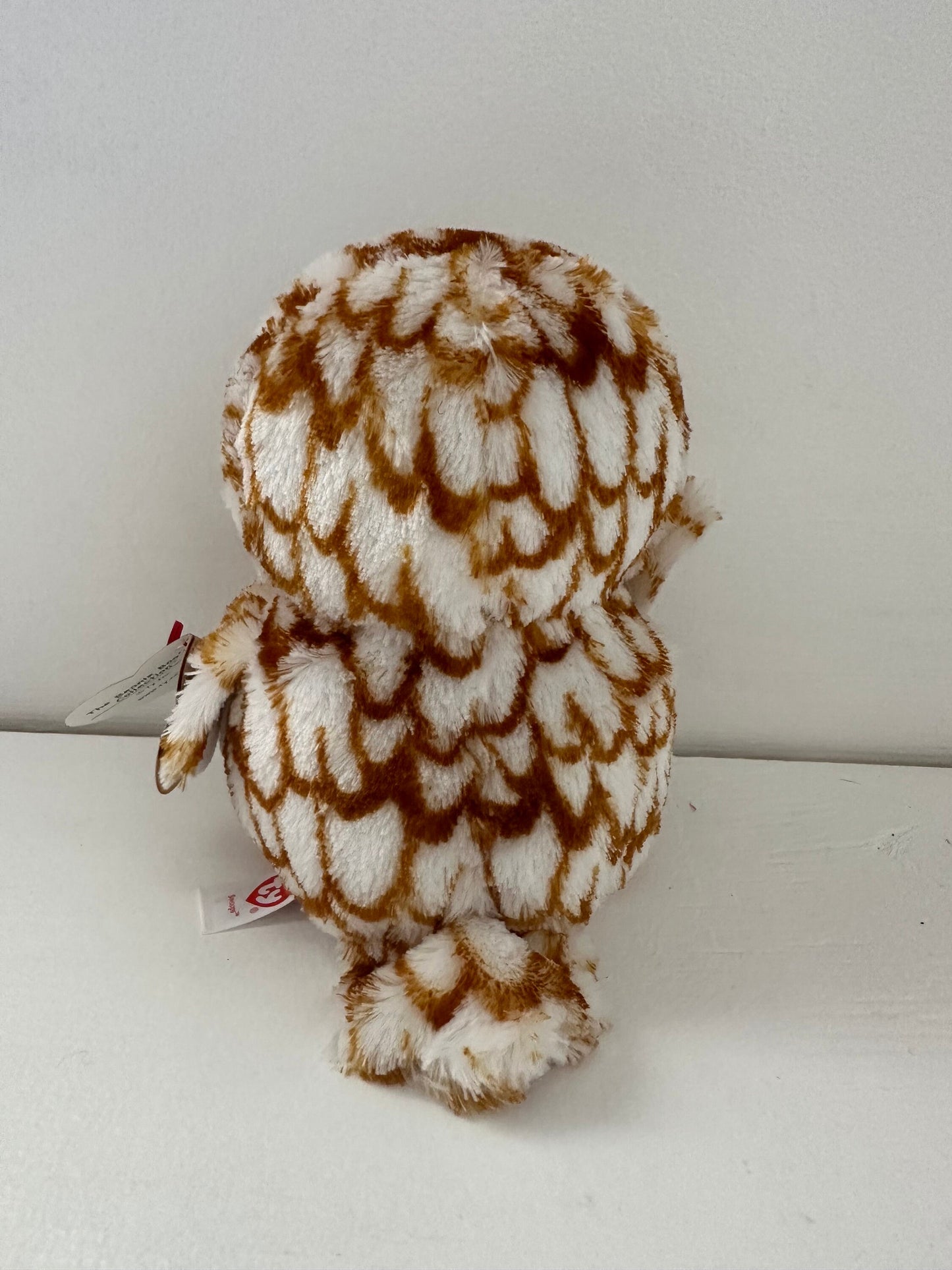 Ty Beanie Boo “Swoops” the Owl (6 inch)