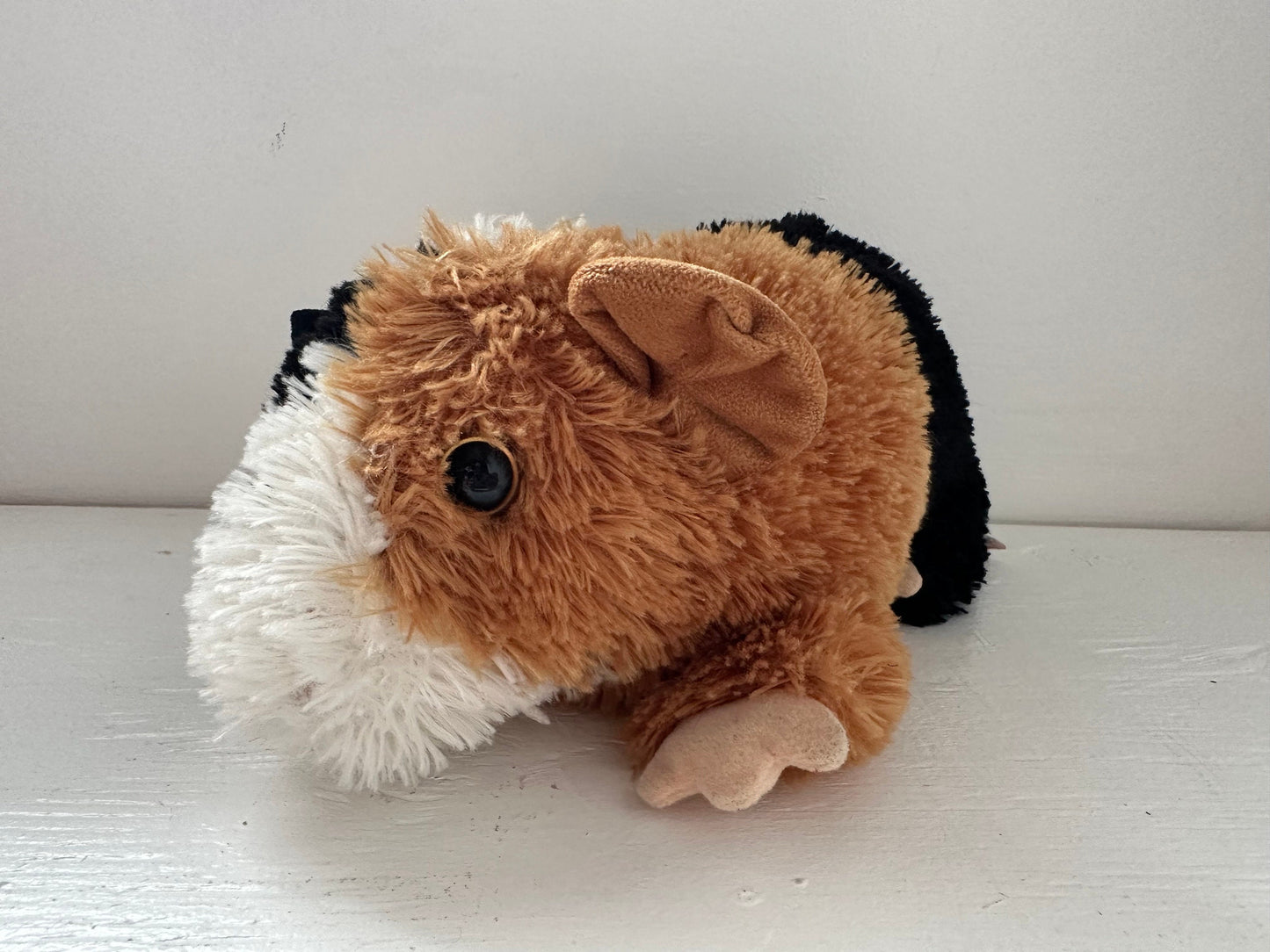 Ty Classics Collection “Patches” the Guinea Pig  - No Hang Tag (10 inch)