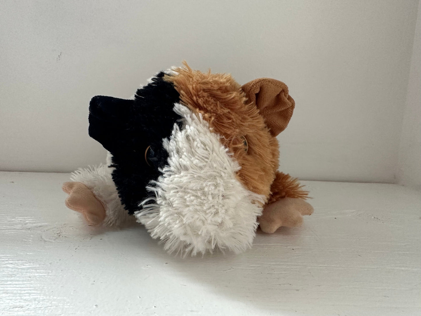 Ty Classics Collection “Patches” the Guinea Pig  - No Hang Tag (10 inch)