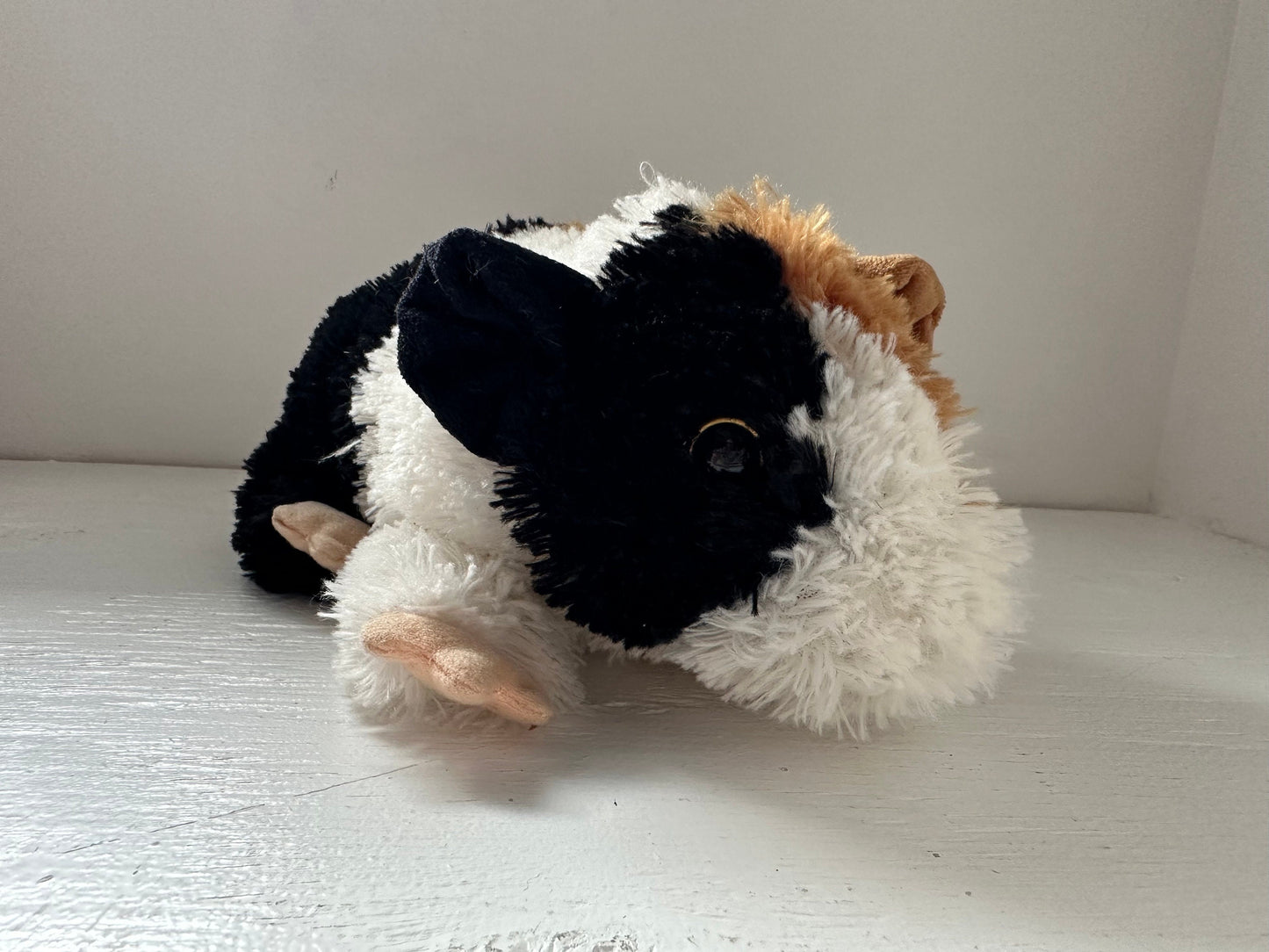 Ty Classics Collection “Patches” the Guinea Pig  - No Hang Tag (10 inch)