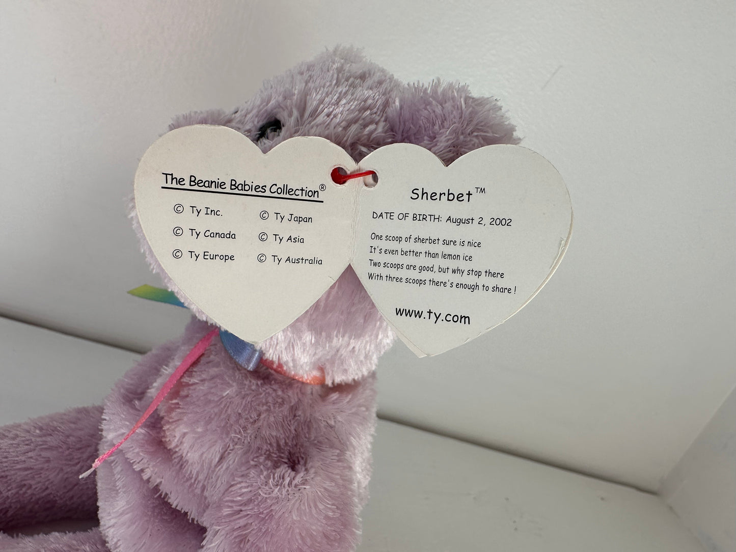 Ty Beanie Baby “Sherbet” the Bear - Purple Version (8.5 inch)