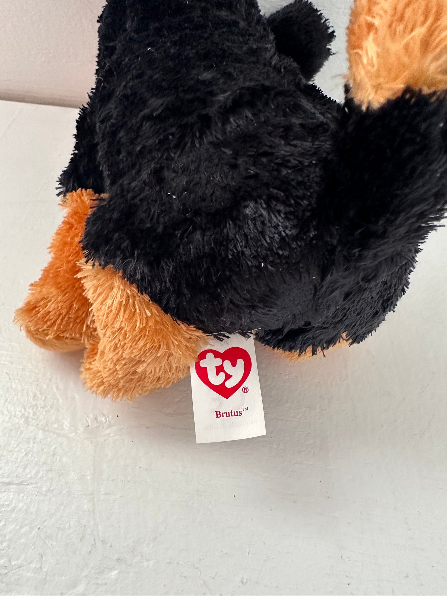 Ty Beanie Baby “Brutus” the Puppy Dog Rottweiler - Sitting down ears up version *Rare* (7 inch)