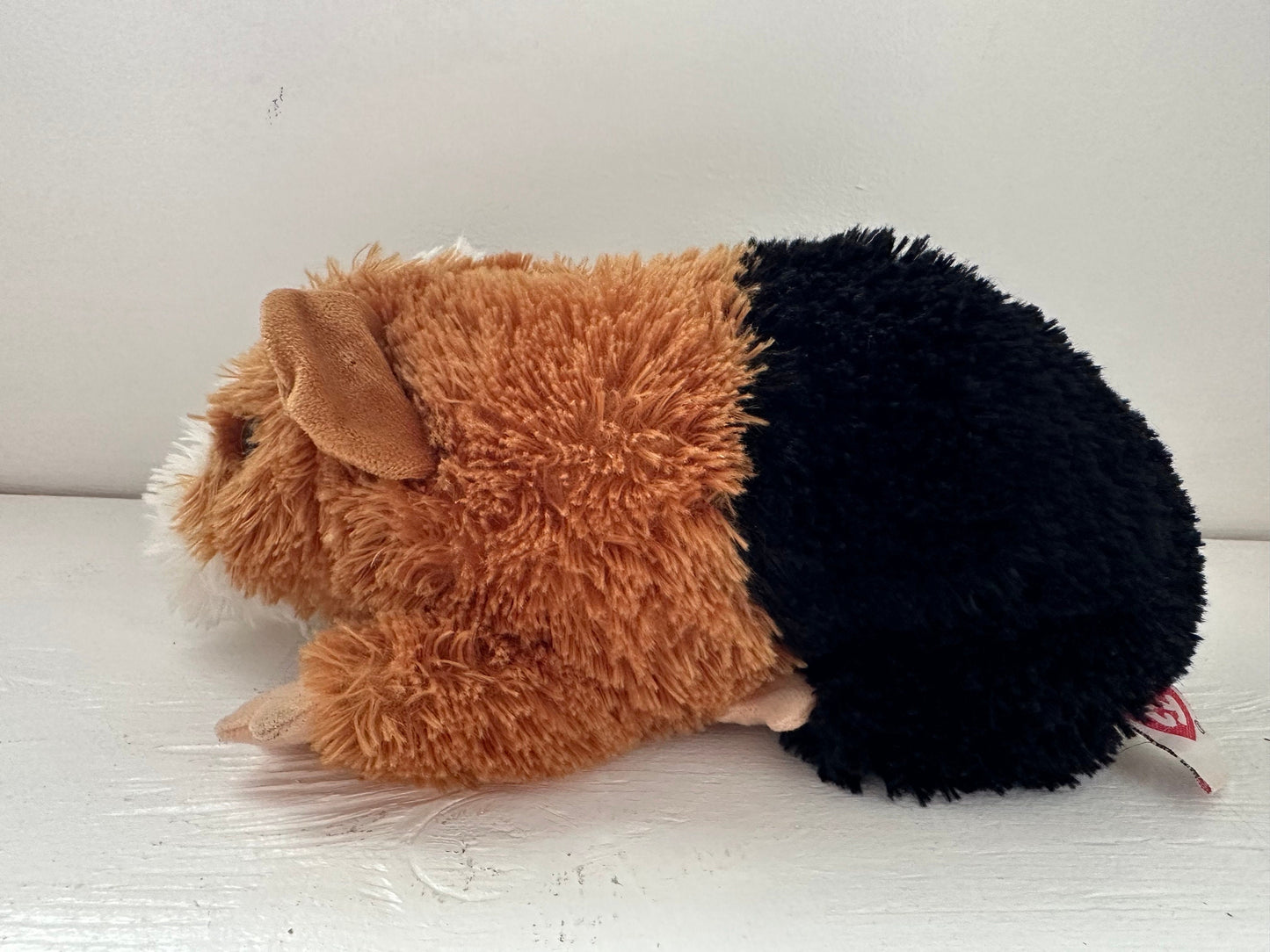 Ty Classics Collection “Patches” the Guinea Pig  - No Hang Tag (10 inch)