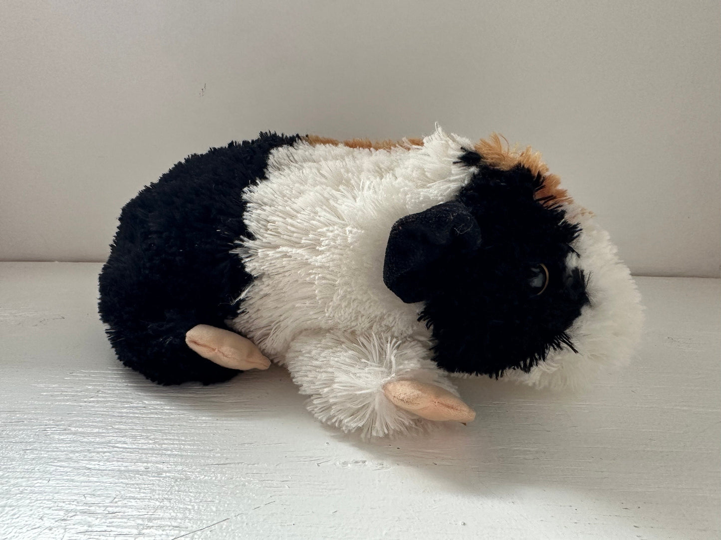 Ty Classics Collection “Patches” the Guinea Pig  - No Hang Tag (10 inch)