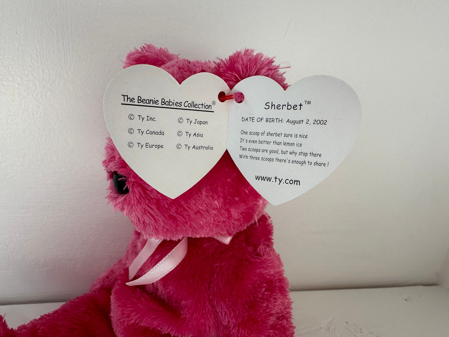 Ty Beanie Baby “Sherbet” the Bear - Dark Pink Version (8.5 inch)