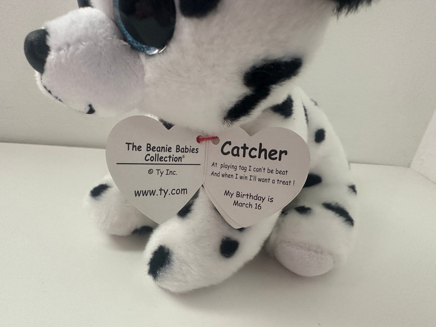 Ty Beanie Baby “Catcher” the Dalmatian (6 inch)