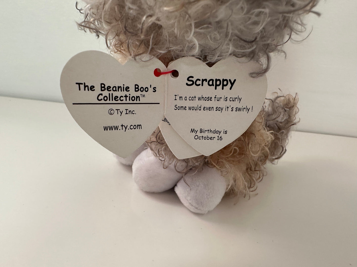 TY Beanie Boo “Scrappy” the Cat (6 inch) Vintage 1990s 2000s Beanies