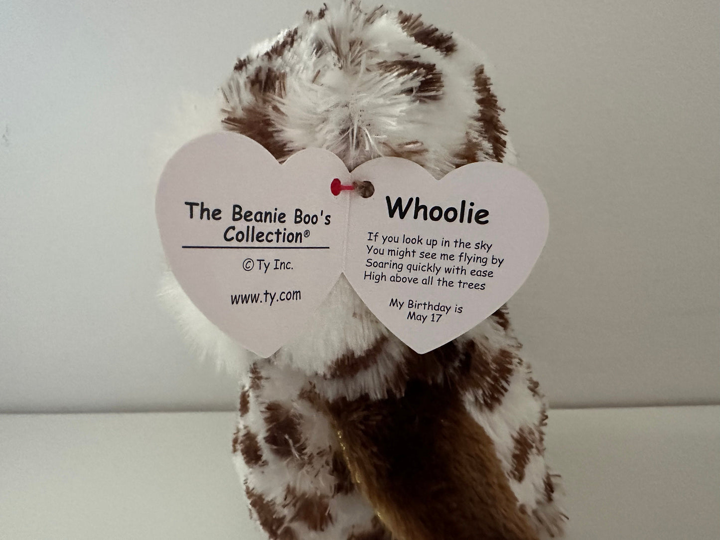 Ty Beanie Boo “Whoolie” the Owl (6 inch)