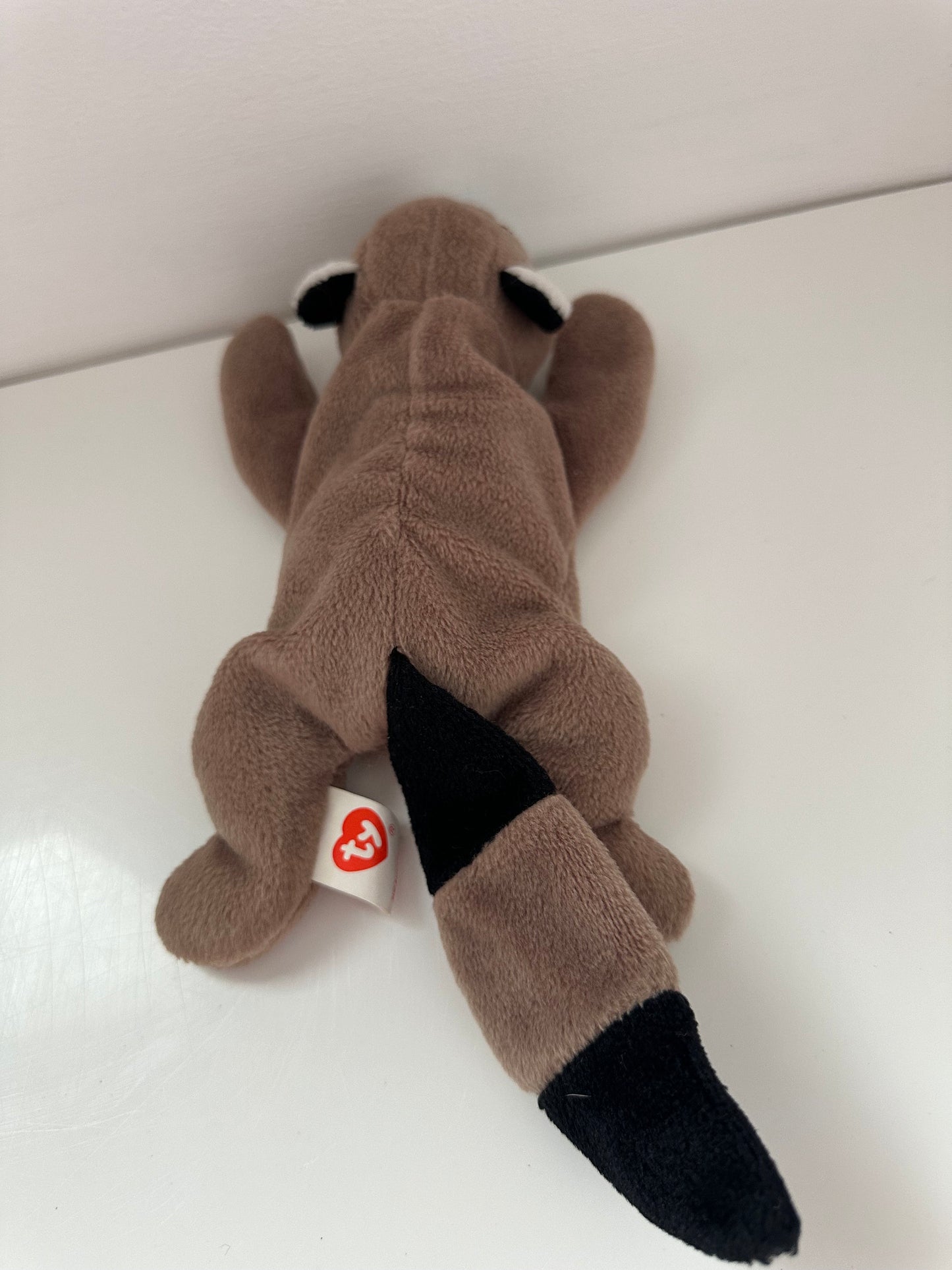 Ty Beanie Baby “Ringo” the Racoon - 2nd Gen Tush Tag, No Hang Tag! (6 inch)