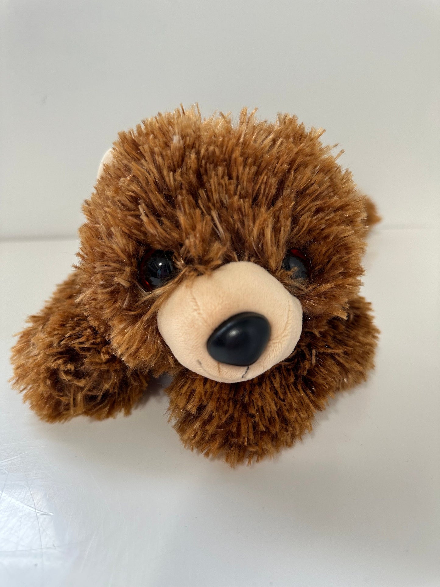 Ty Classics Collection “Montana” the Adorable Brown Bear - No Hang Tag (13 inch)