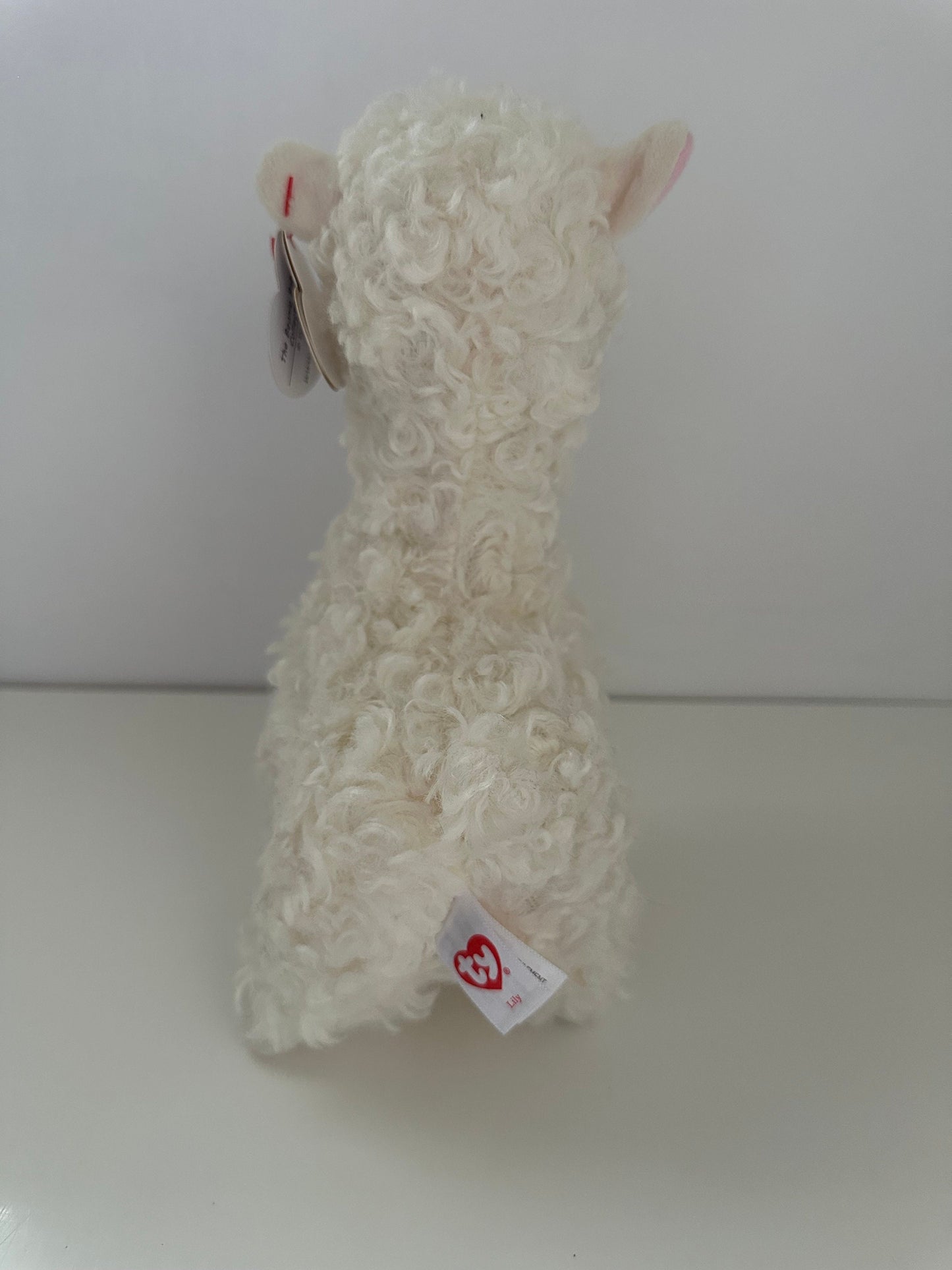 Ty Beanie Babies “Lily” the  Llama! (8 inch)