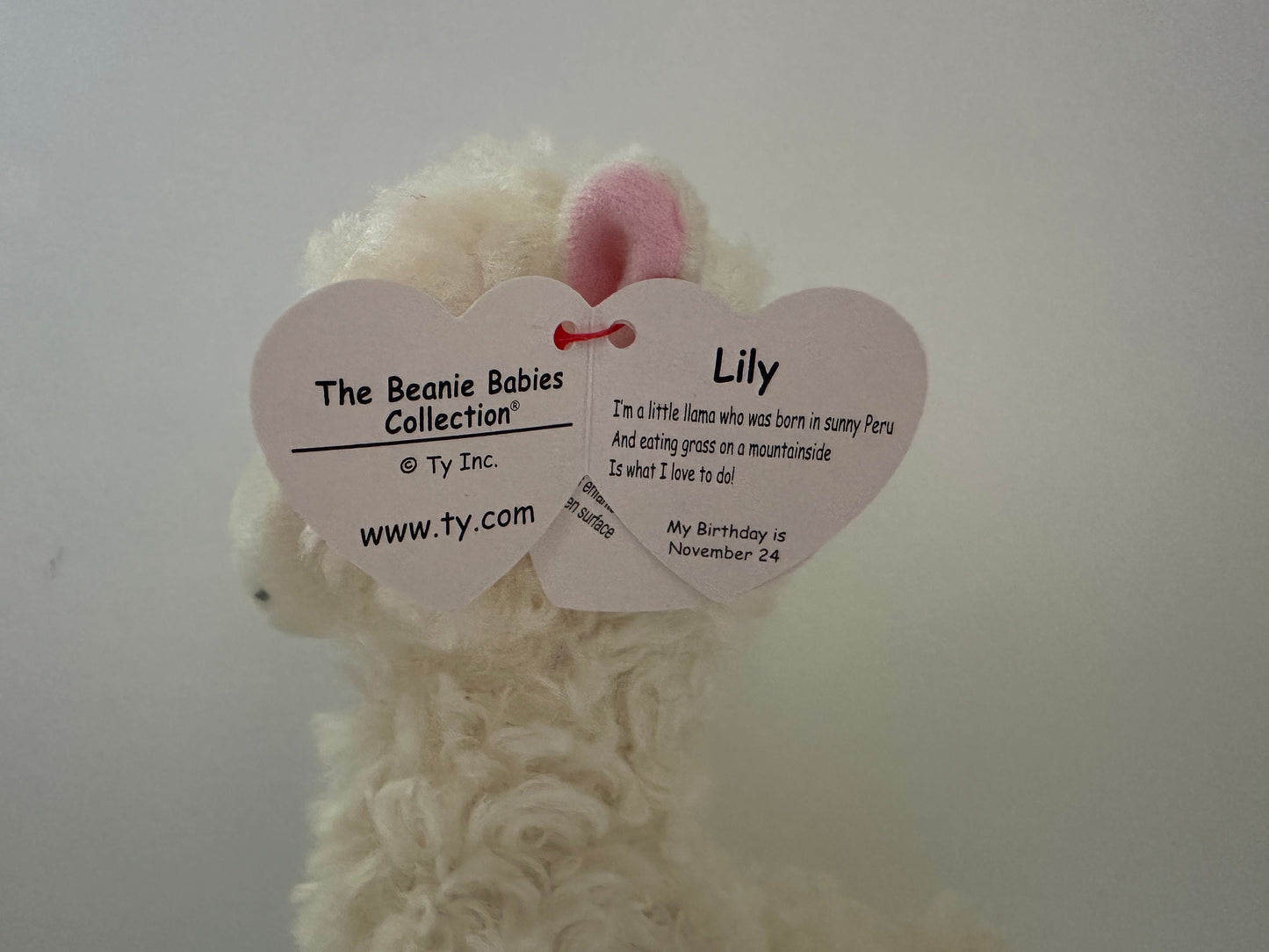 Ty Beanie Babies “Lily” the  Llama! (8 inch)