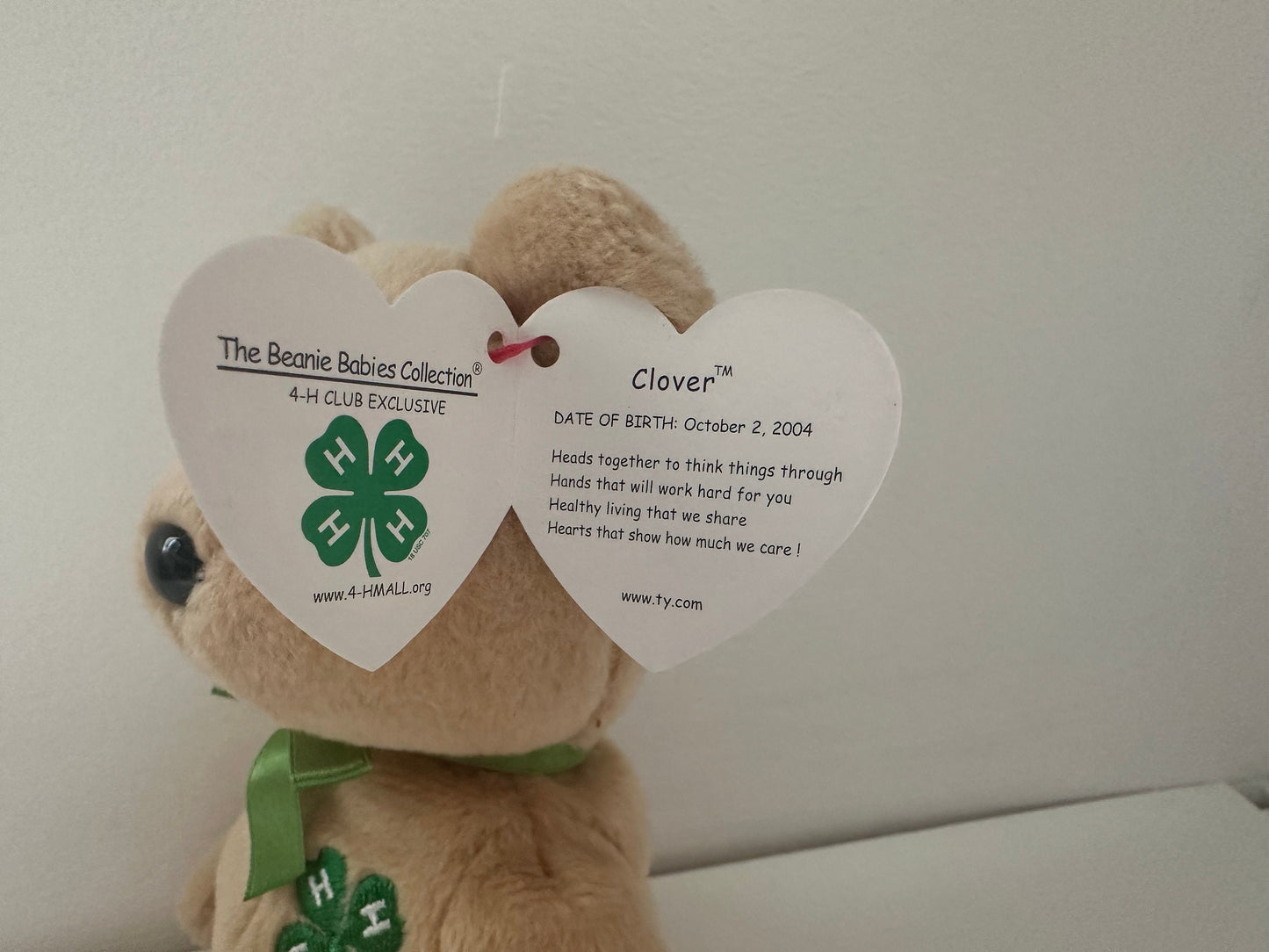 Ty Beanie Babies “Clover” the 4H Bear! (8.5 inch)