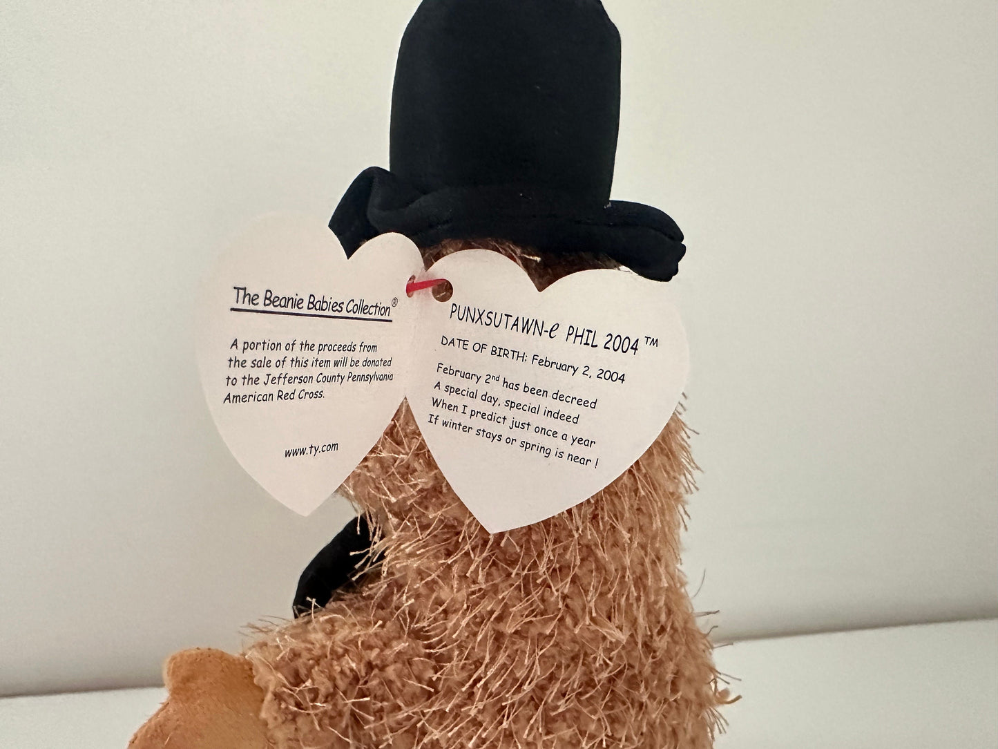 Ty Beanie Baby “Punxsutawney Phil 2004” the Groundhog Day  (6.5 inch)