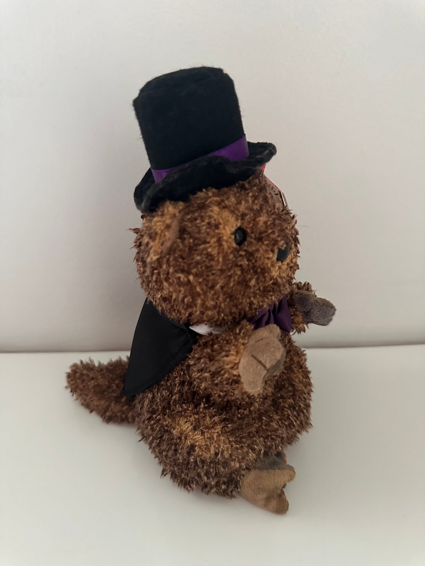 Ty Beanie Baby “Punxsutawney Phil” the Groundhog Day  with Purple Bow Tie (6.5 inch)