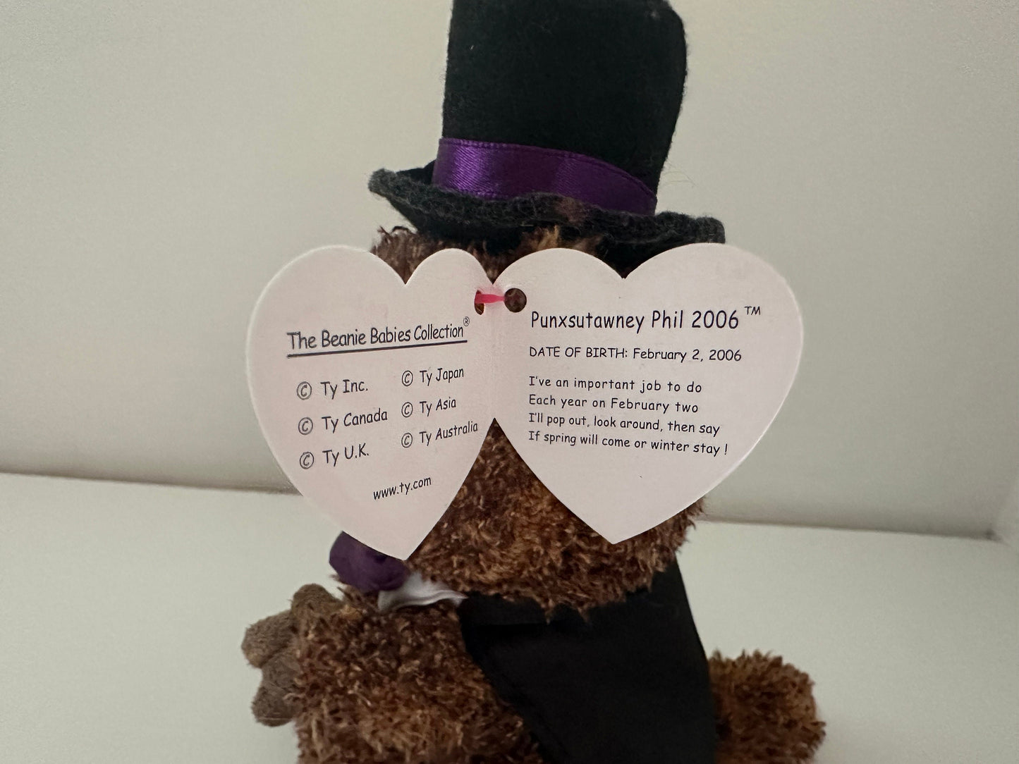 Ty Beanie Baby “Punxsutawney Phil” the Groundhog Day  with Purple Bow Tie (6.5 inch)