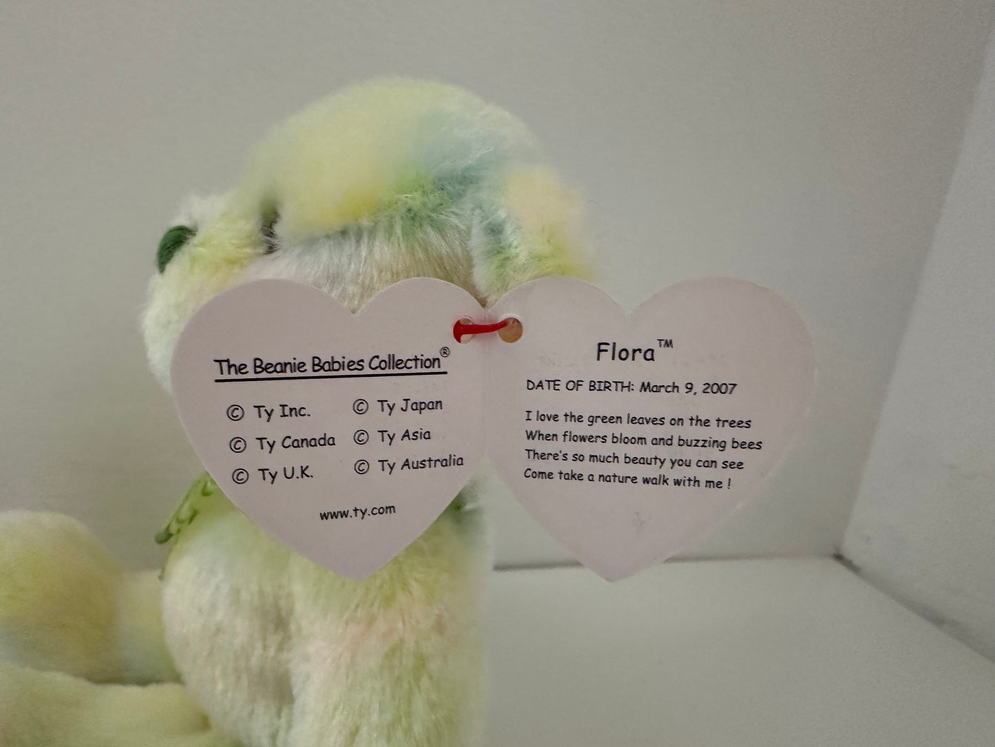 Ty Beanie Baby “Flora” the Green Bear! (5 inch)